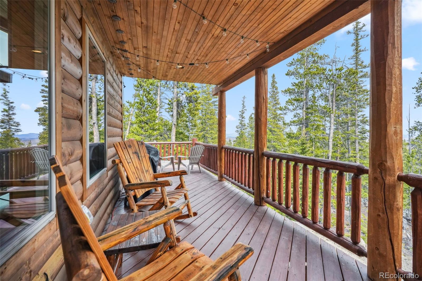 MLS Image #4 for 1074  bobcat lane,fairplay, Colorado