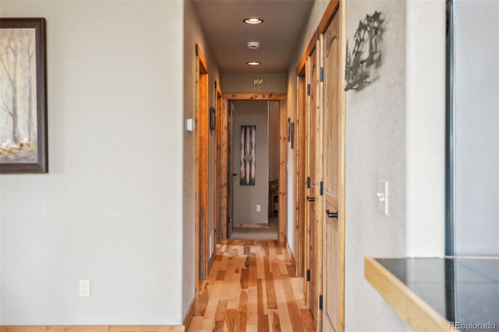 MLS Image #40 for 1074  bobcat lane,fairplay, Colorado