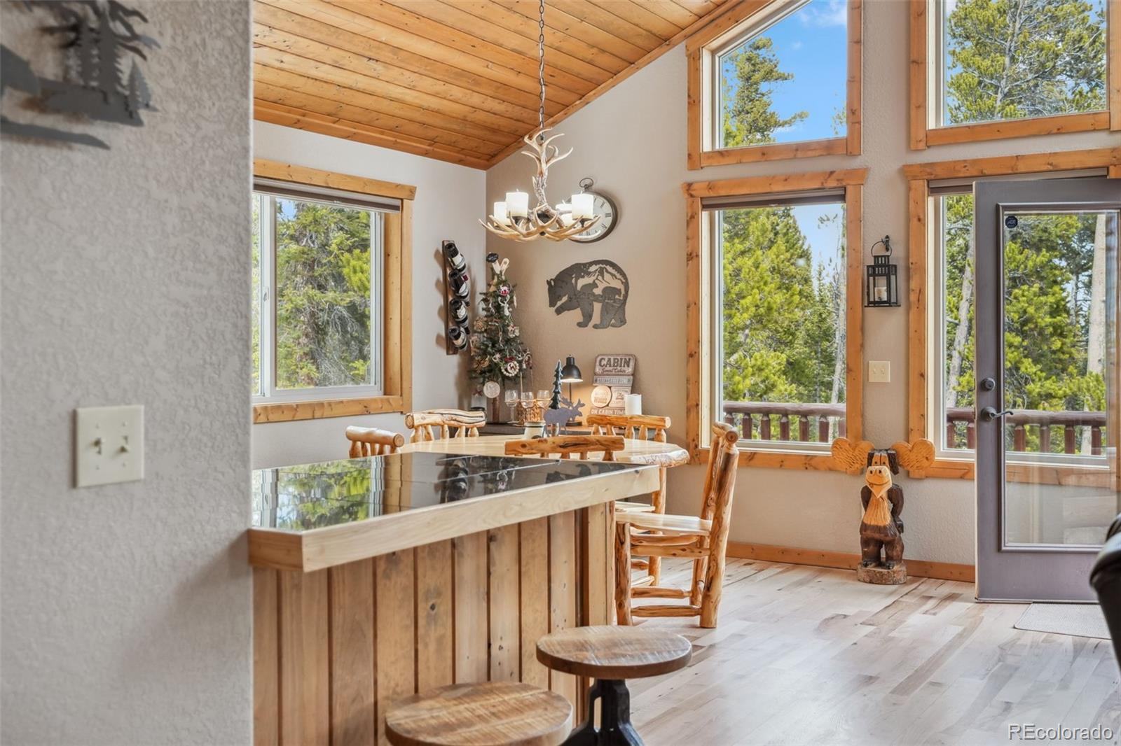 MLS Image #41 for 1074  bobcat lane,fairplay, Colorado