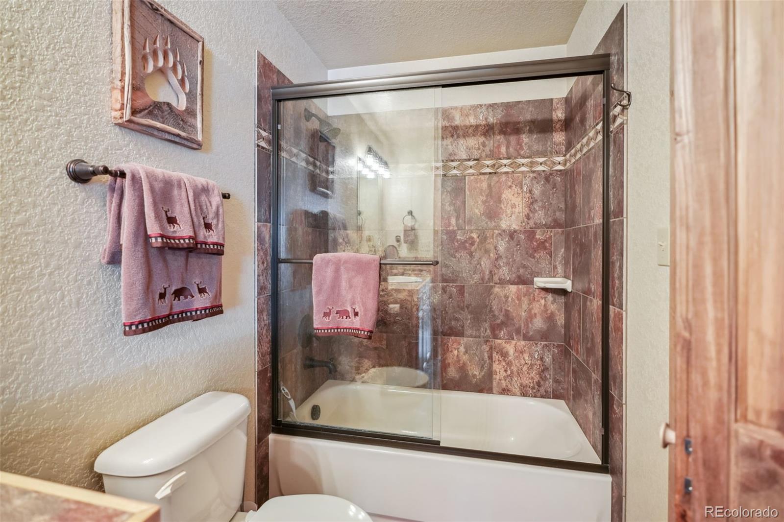 MLS Image #42 for 1074  bobcat lane,fairplay, Colorado