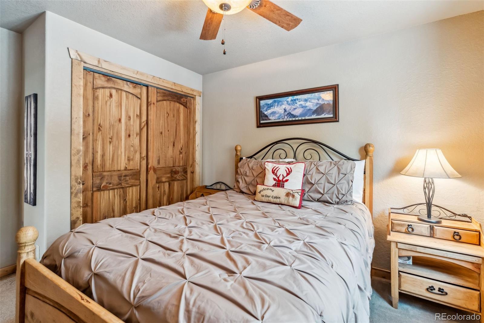 MLS Image #44 for 1074  bobcat lane,fairplay, Colorado