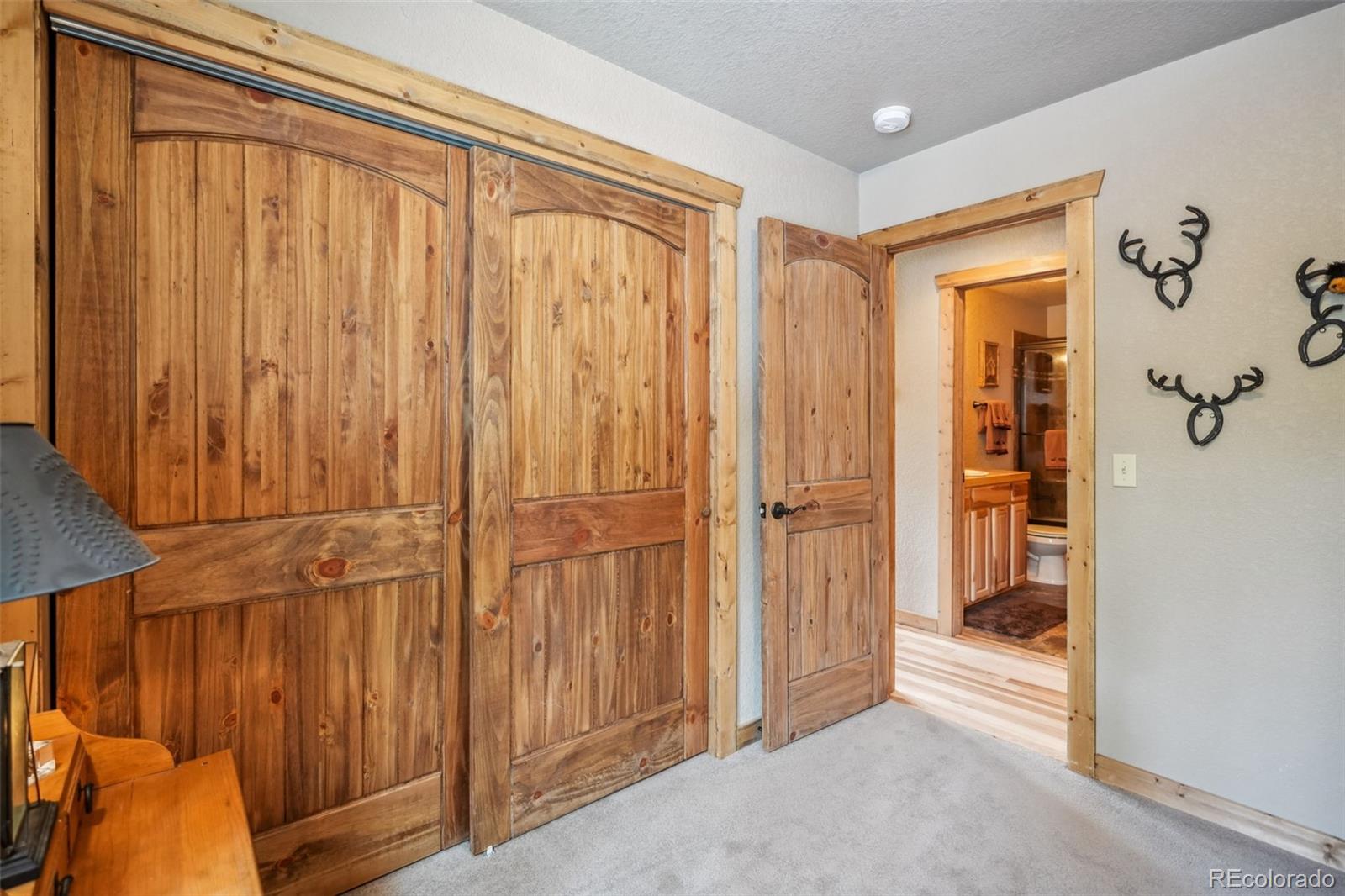 MLS Image #46 for 1074  bobcat lane,fairplay, Colorado