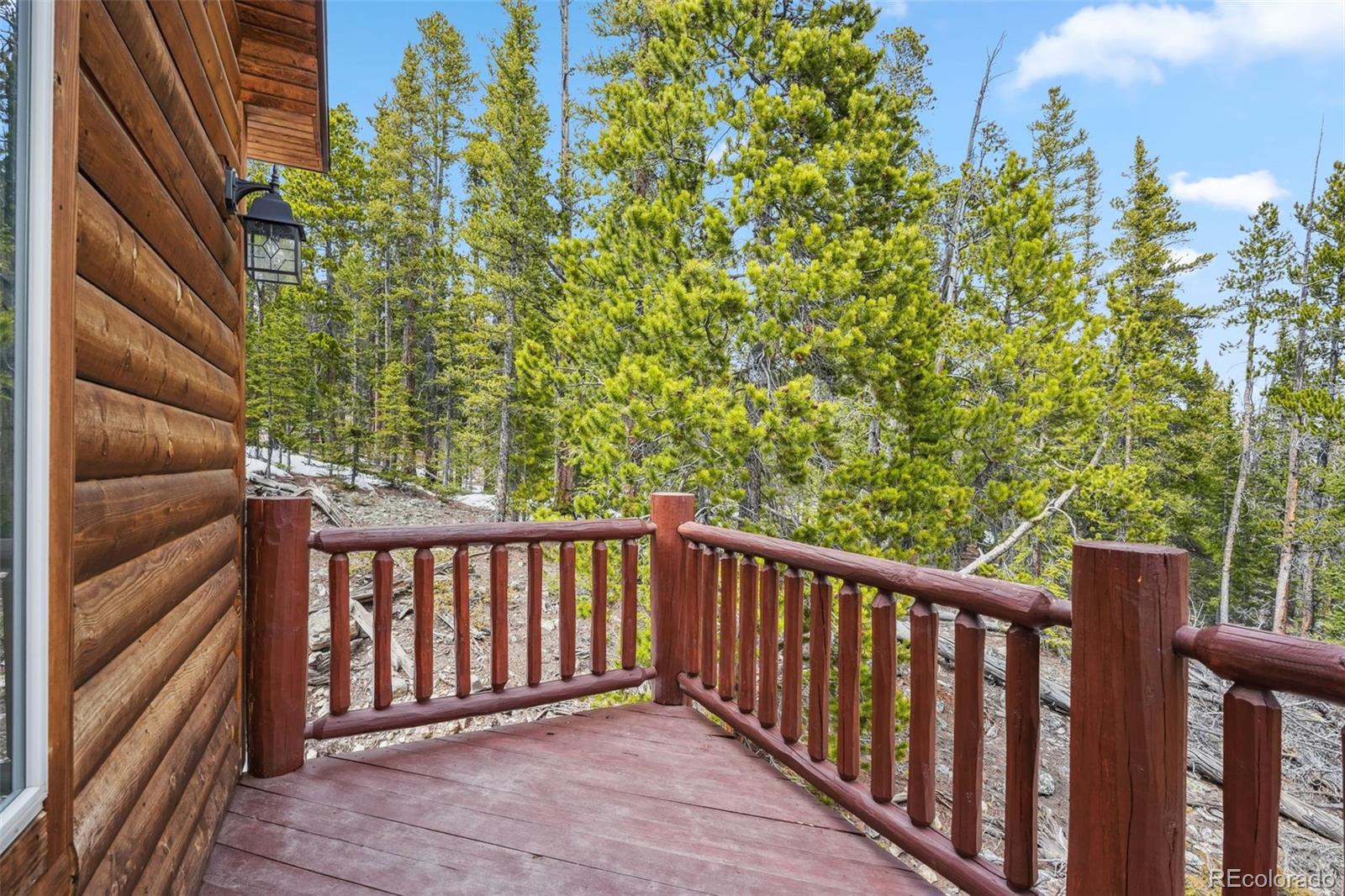 MLS Image #48 for 1074  bobcat lane,fairplay, Colorado