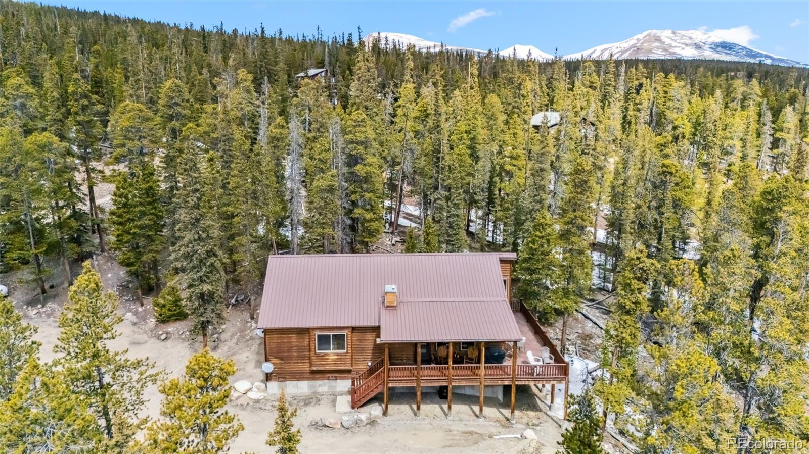 MLS Image #6 for 1074  bobcat lane,fairplay, Colorado