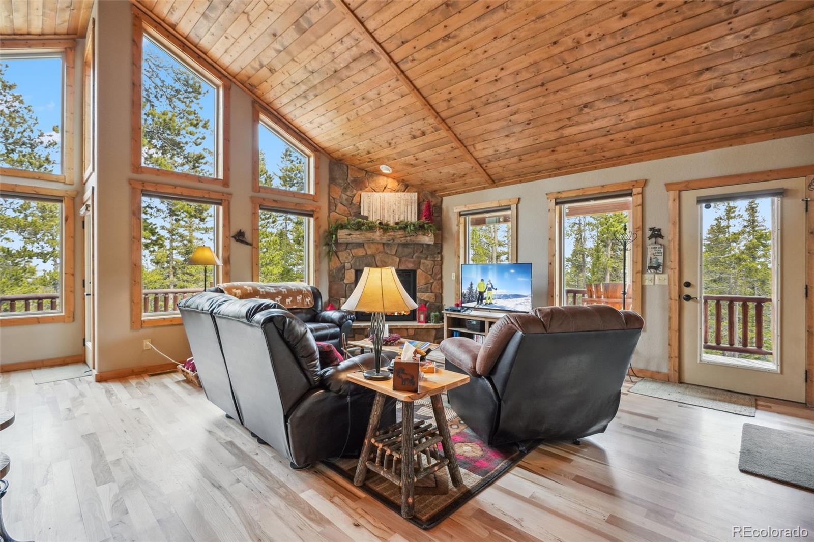MLS Image #9 for 1074  bobcat lane,fairplay, Colorado