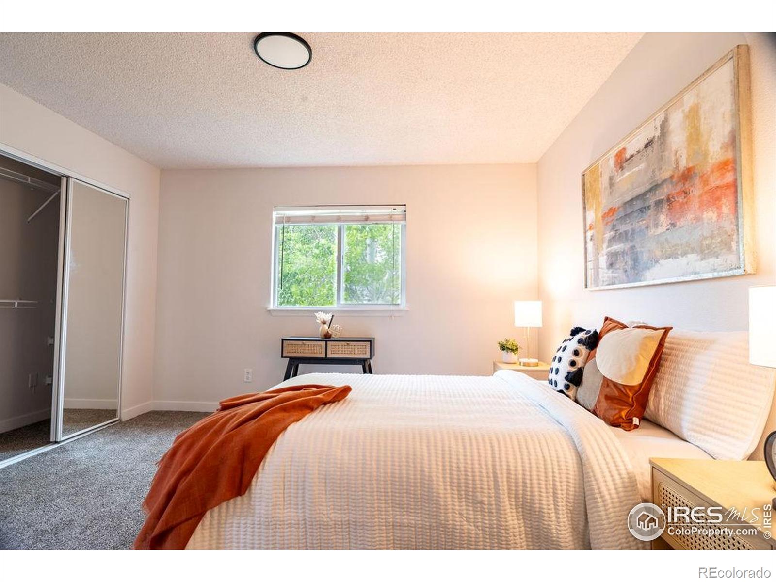 MLS Image #24 for 478  slippery elm court,loveland, Colorado