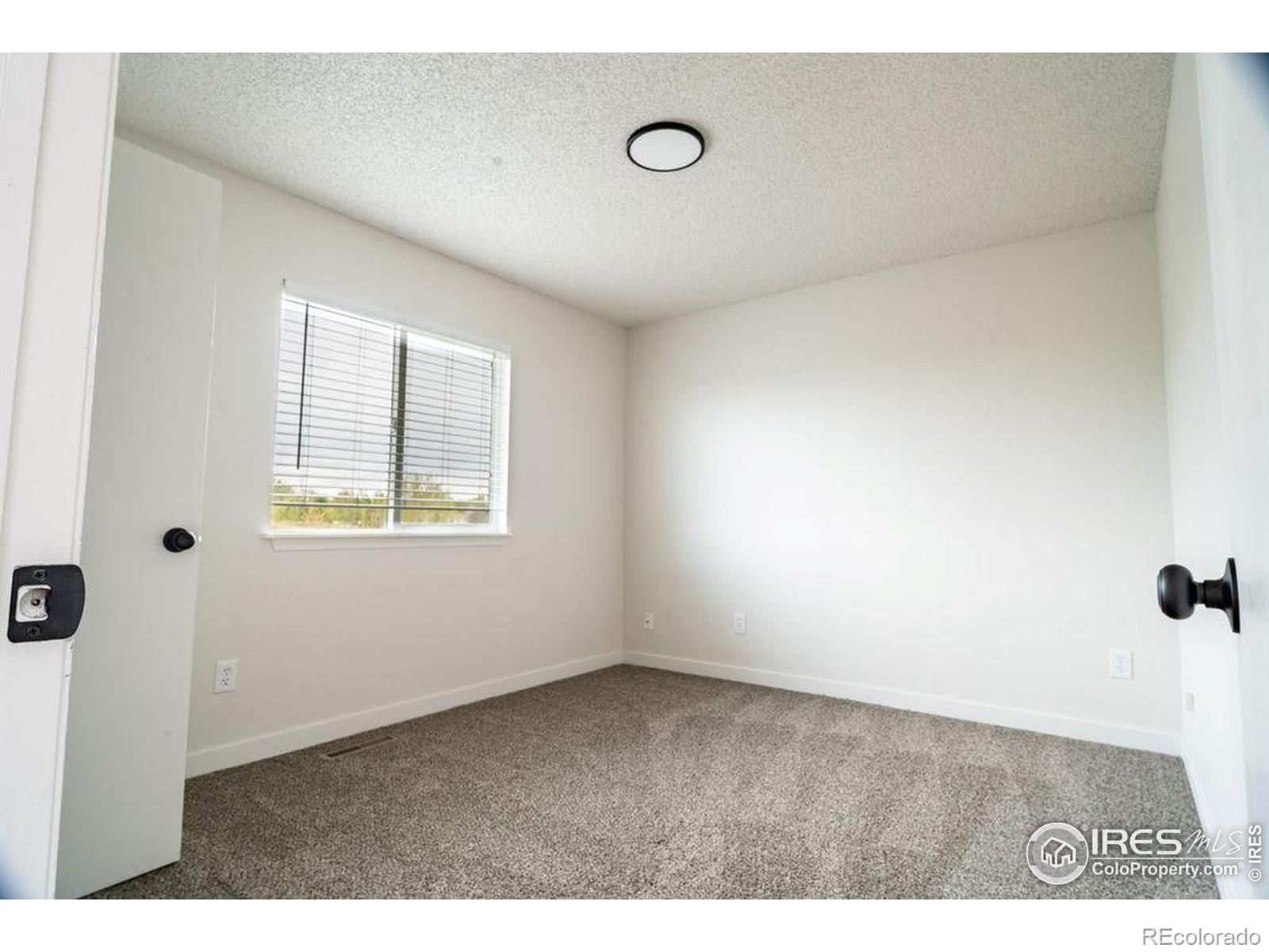 MLS Image #29 for 478  slippery elm court,loveland, Colorado