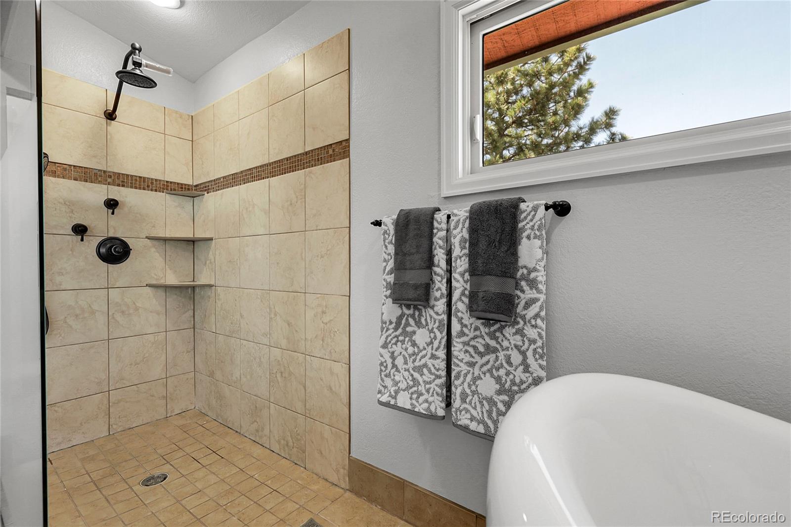 MLS Image #12 for 10991  expedition ,littleton, Colorado