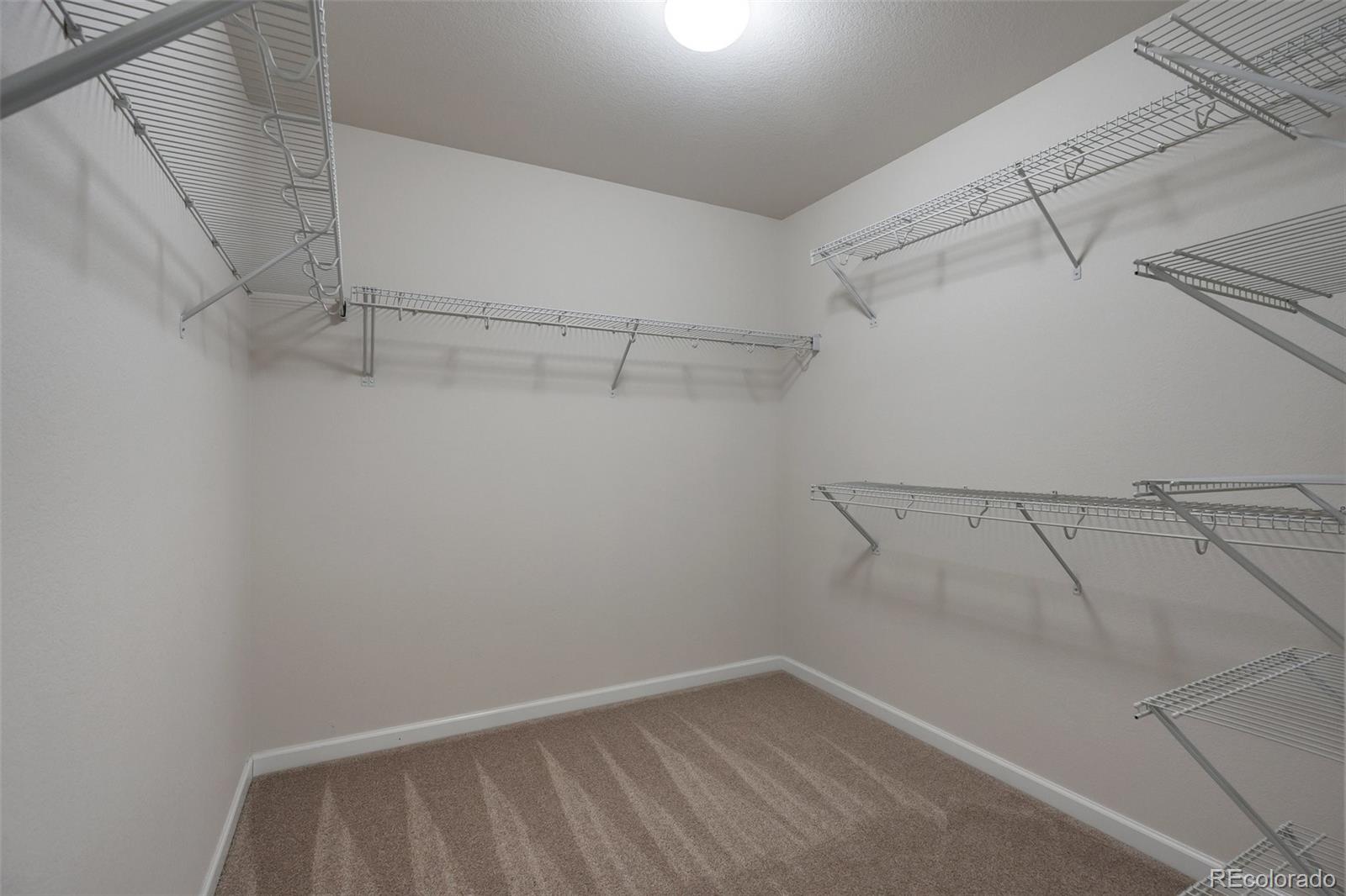 MLS Image #20 for 7665  grady circle,castle rock, Colorado