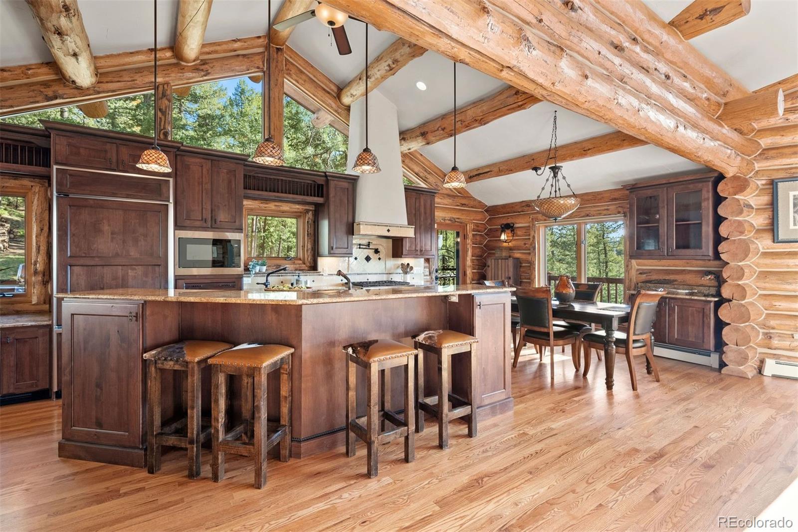 MLS Image #8 for 4560  hilltop road,evergreen, Colorado