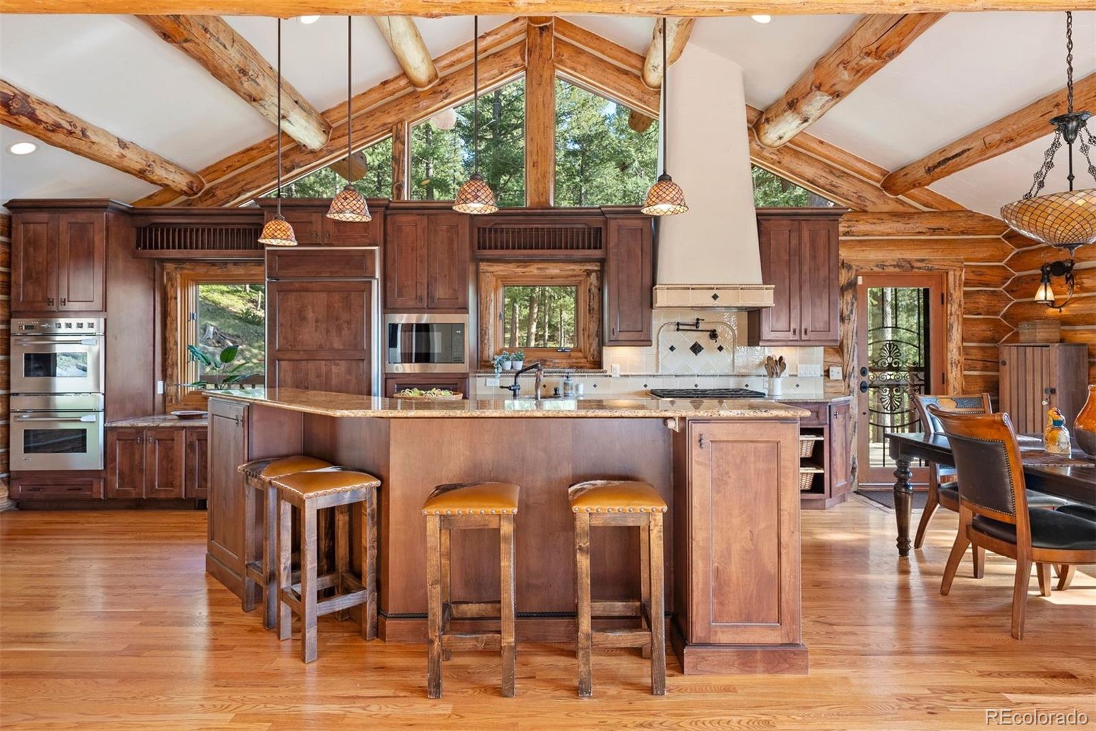 MLS Image #9 for 4560  hilltop road,evergreen, Colorado