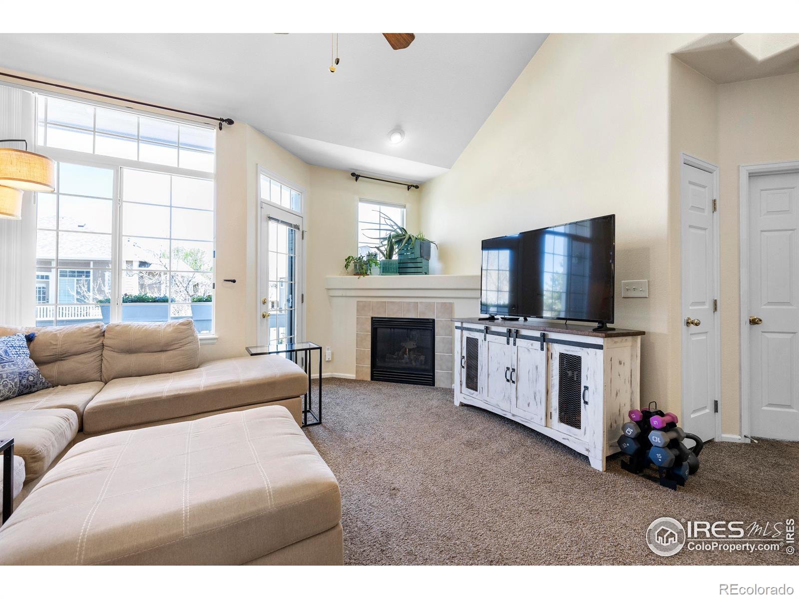 MLS Image #1 for 1339  carlyle park circle,highlands ranch, Colorado