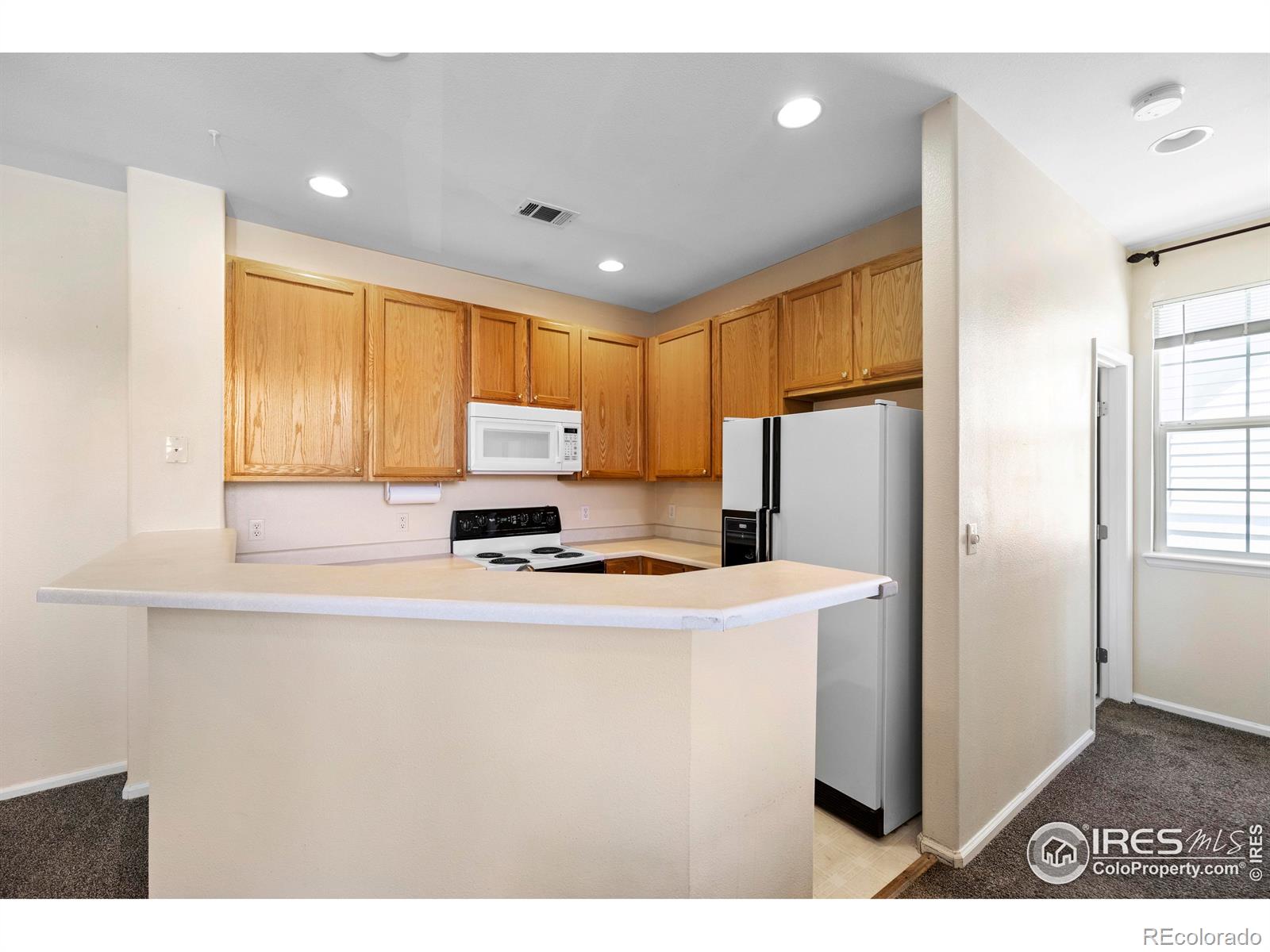 MLS Image #10 for 1339  carlyle park circle,highlands ranch, Colorado