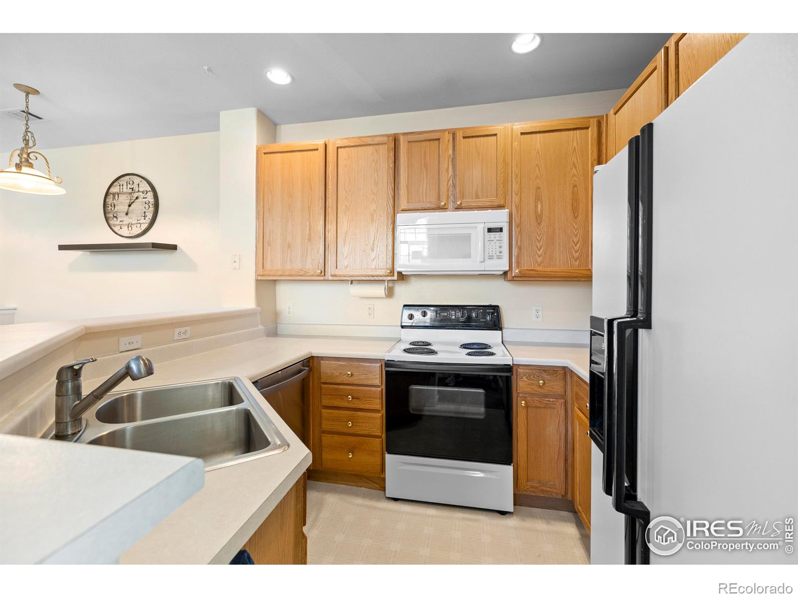 MLS Image #11 for 1339  carlyle park circle,highlands ranch, Colorado