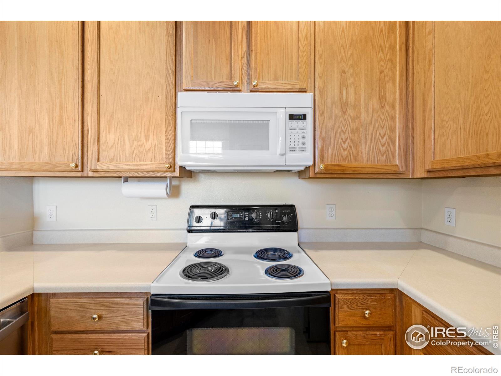 MLS Image #12 for 1339  carlyle park circle,highlands ranch, Colorado
