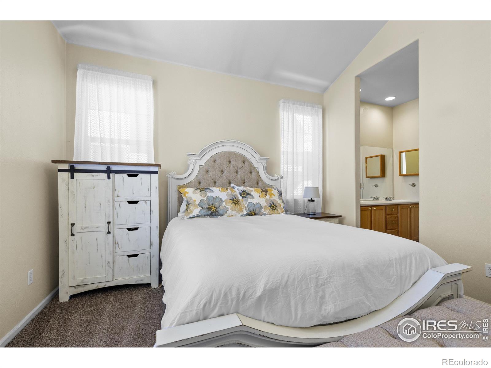 MLS Image #13 for 1339  carlyle park circle,highlands ranch, Colorado