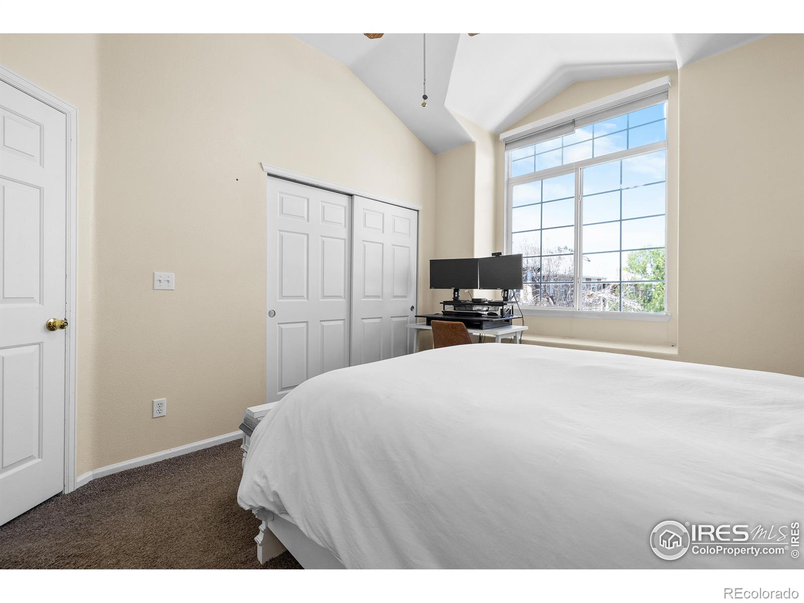 MLS Image #15 for 1339  carlyle park circle,highlands ranch, Colorado