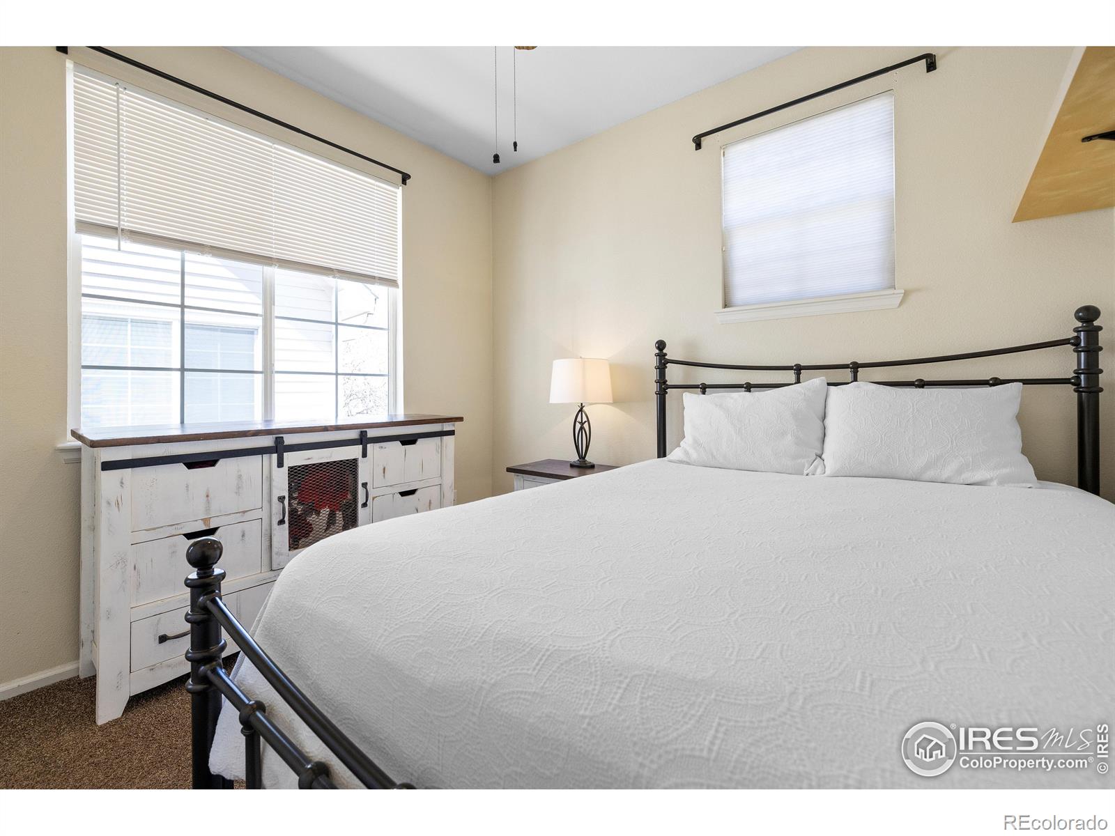 MLS Image #17 for 1339  carlyle park circle,highlands ranch, Colorado