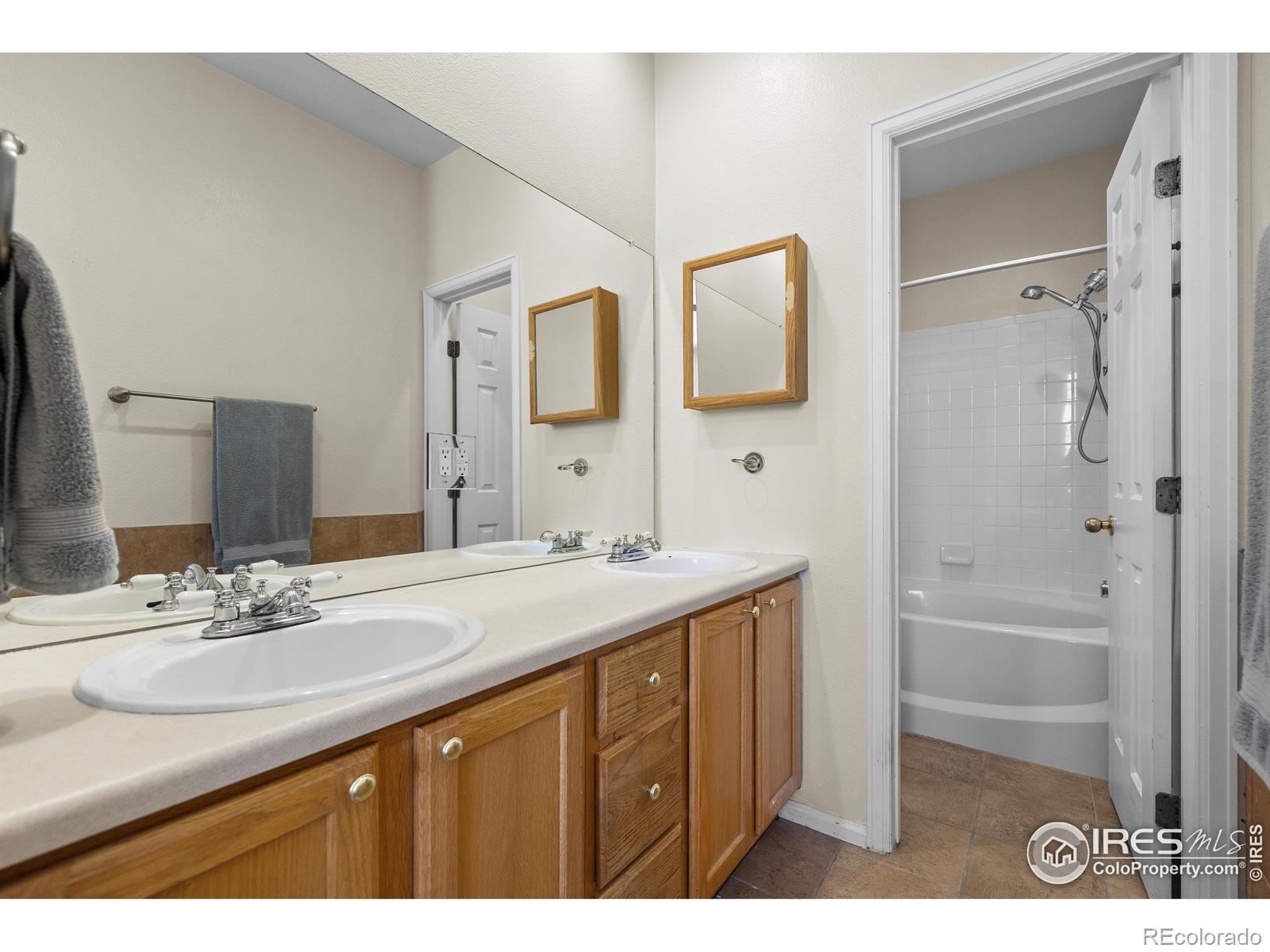 MLS Image #18 for 1339  carlyle park circle,highlands ranch, Colorado