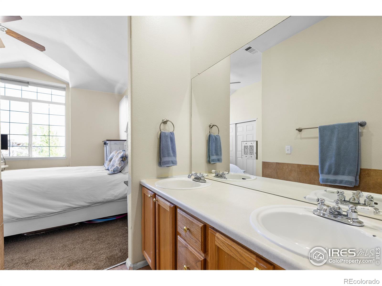 MLS Image #19 for 1339  carlyle park circle,highlands ranch, Colorado