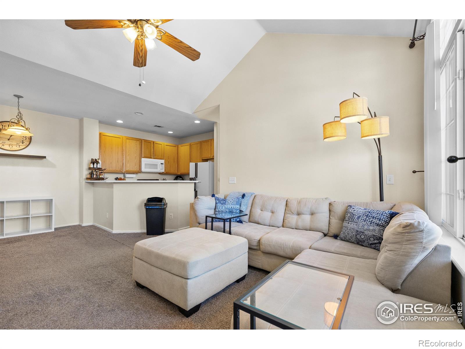 MLS Image #2 for 1339  carlyle park circle,highlands ranch, Colorado