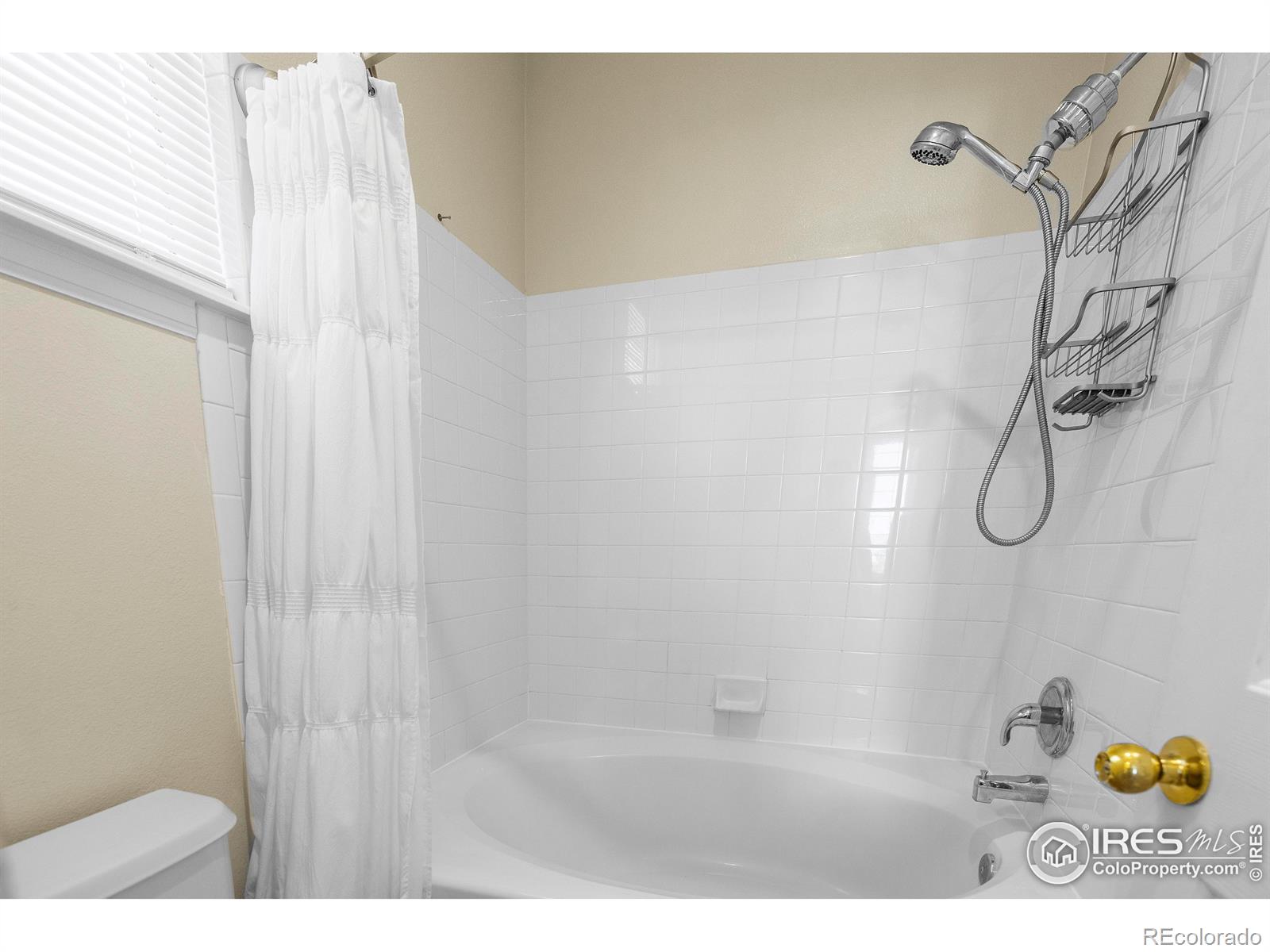 MLS Image #20 for 1339  carlyle park circle,highlands ranch, Colorado