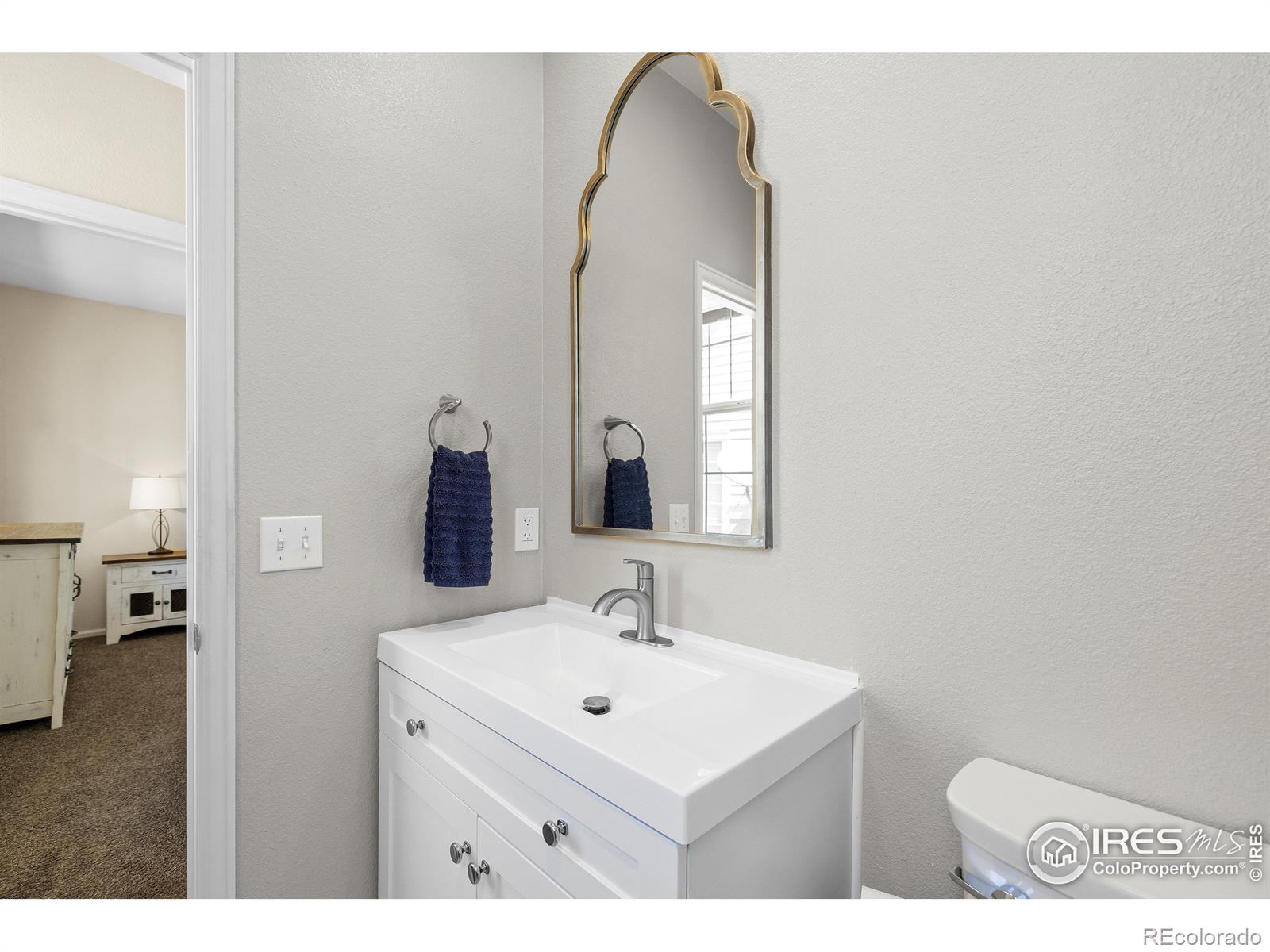 MLS Image #22 for 1339  carlyle park circle,highlands ranch, Colorado