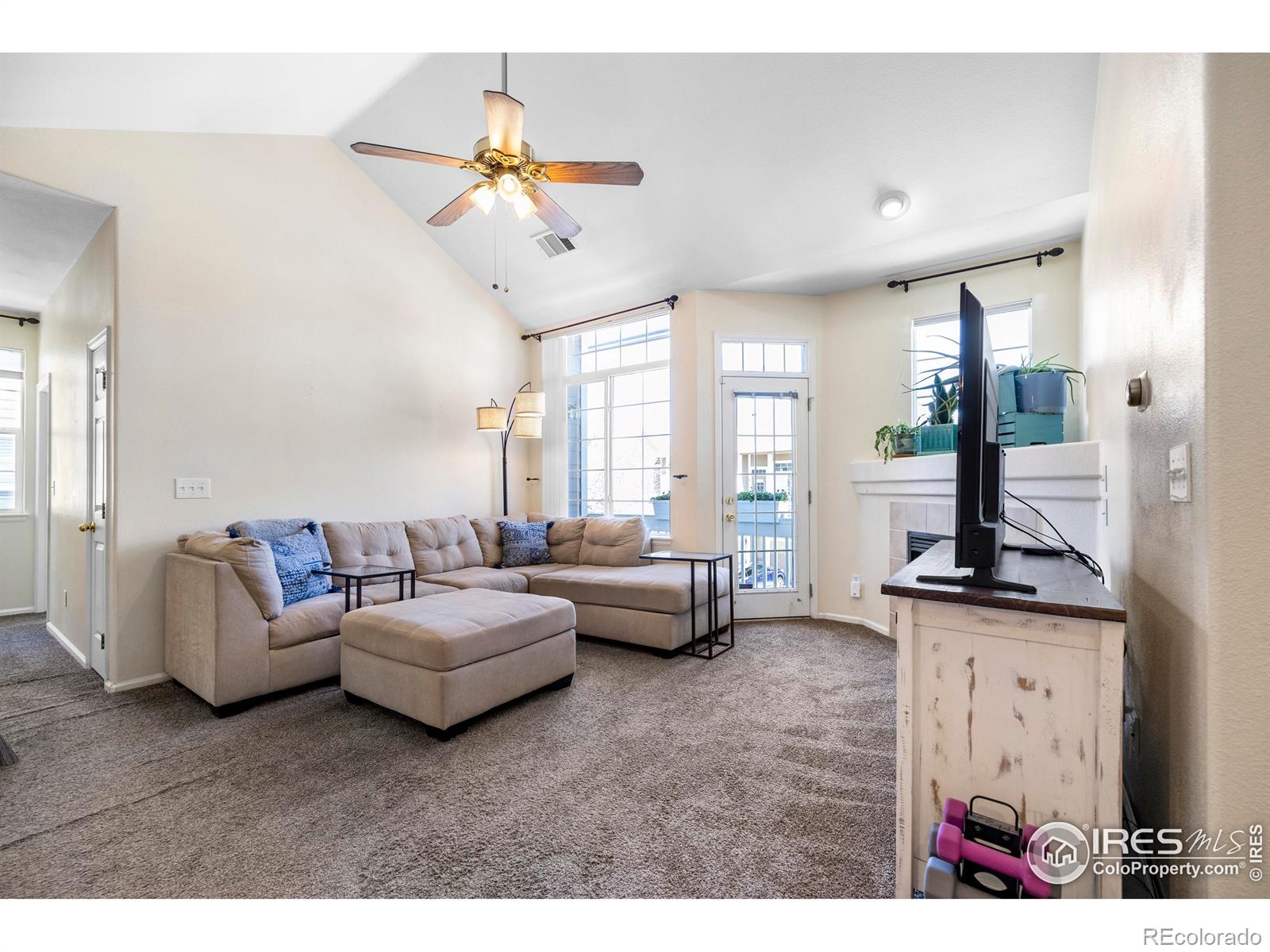MLS Image #5 for 1339  carlyle park circle,highlands ranch, Colorado