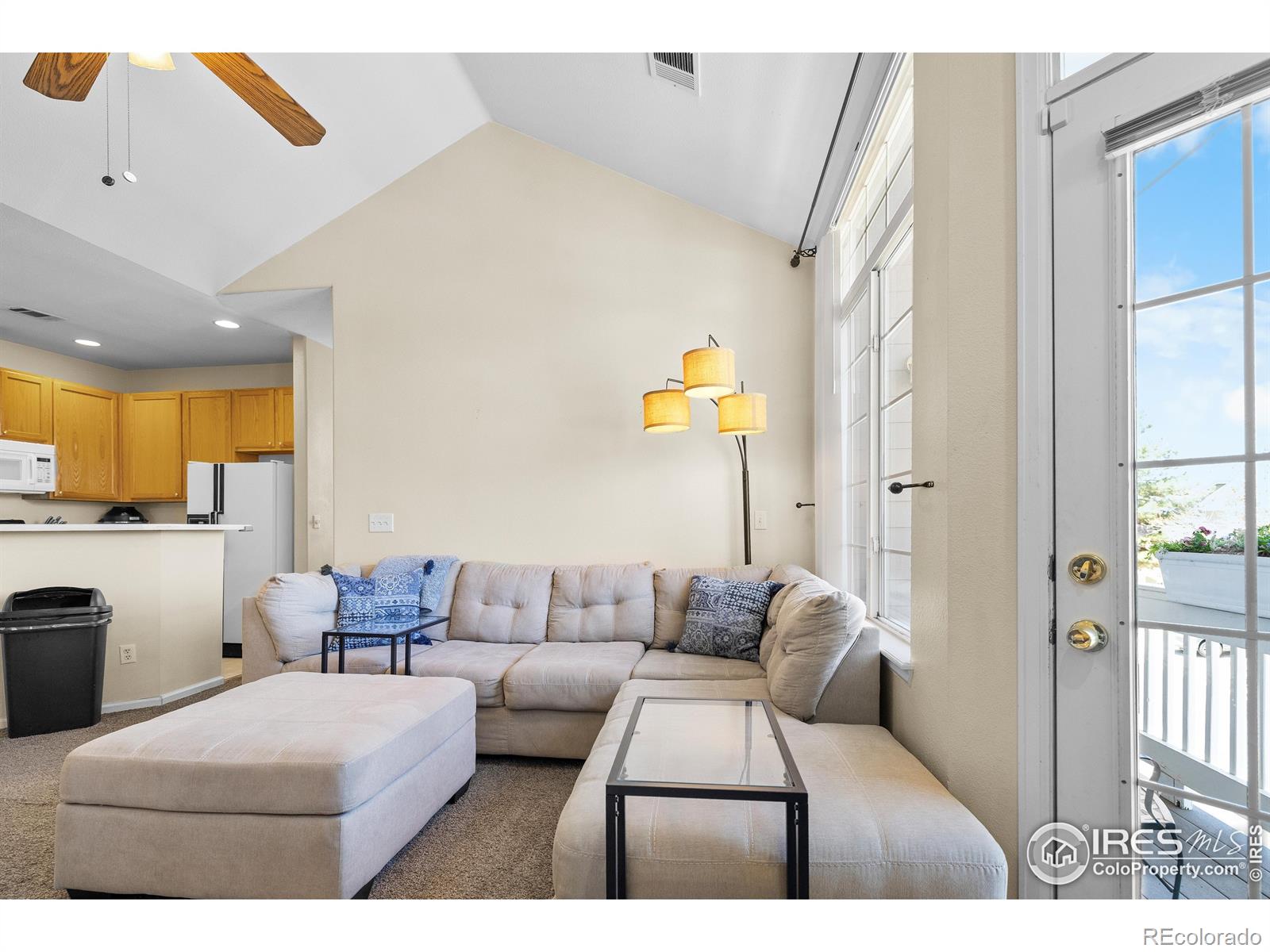 MLS Image #6 for 1339  carlyle park circle,highlands ranch, Colorado