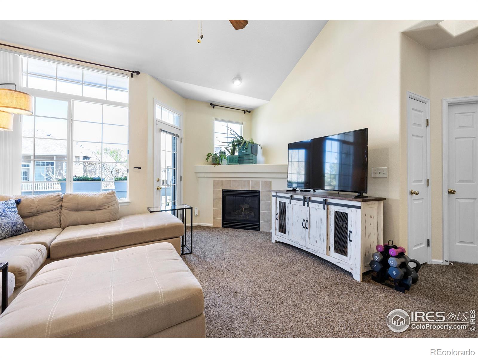 MLS Image #8 for 1339  carlyle park circle,highlands ranch, Colorado