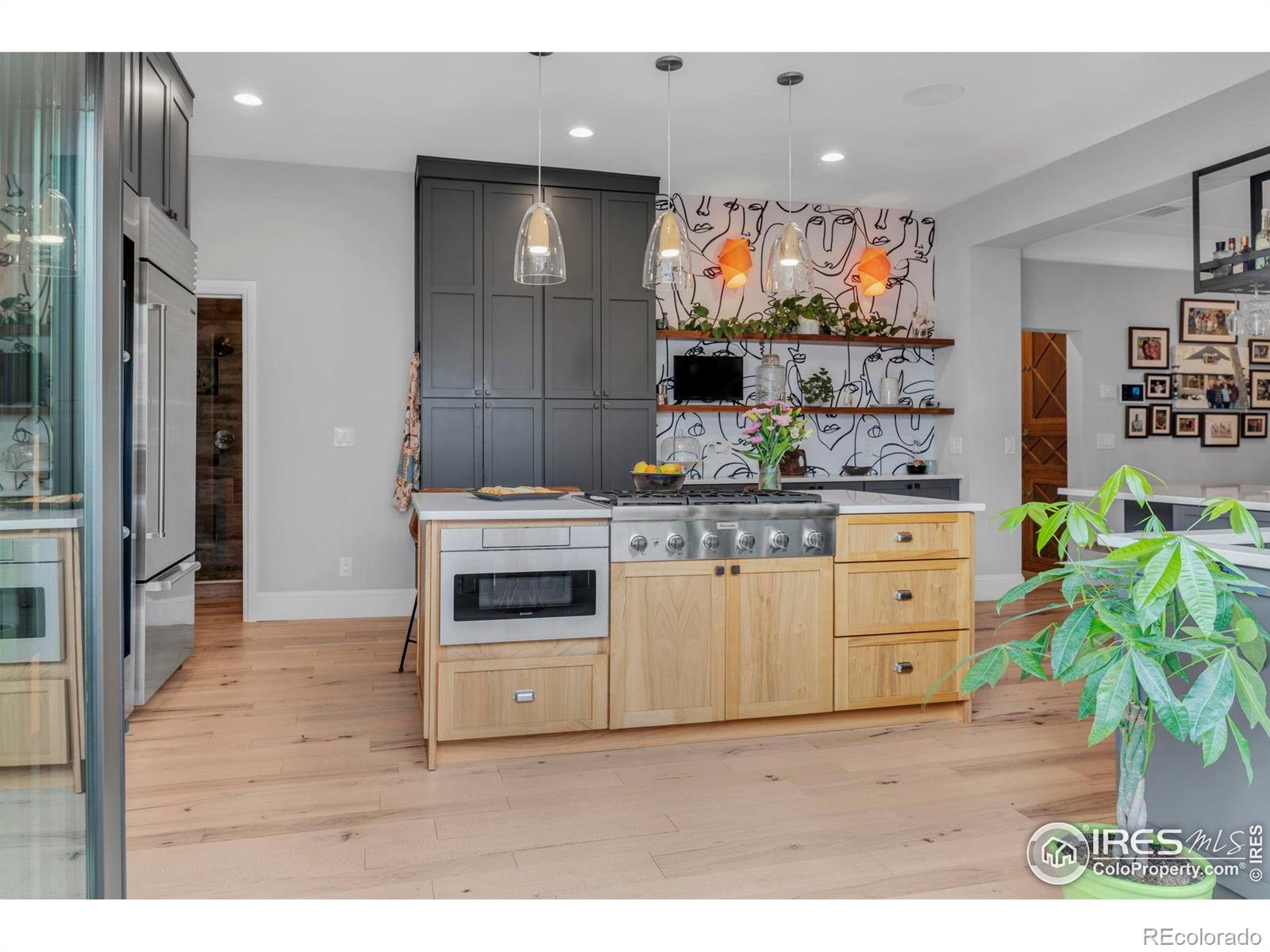MLS Image #19 for 2019 s grant street,denver, Colorado