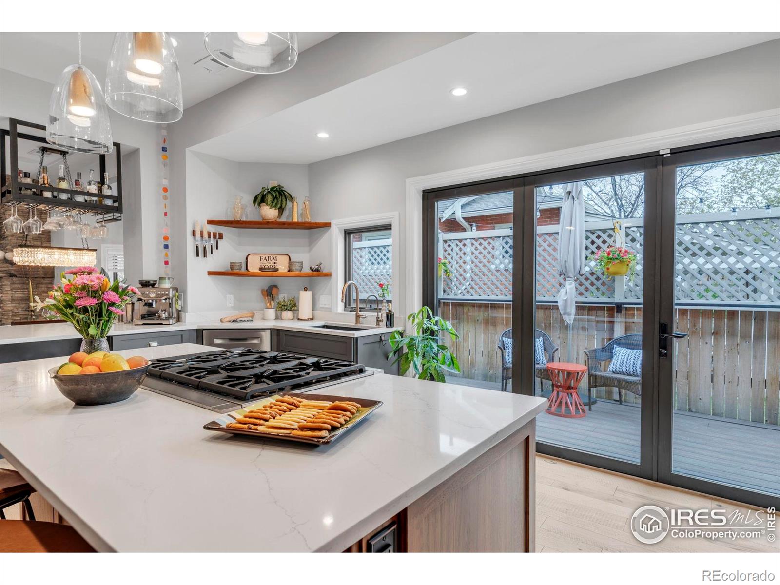 MLS Image #20 for 2019 s grant street,denver, Colorado