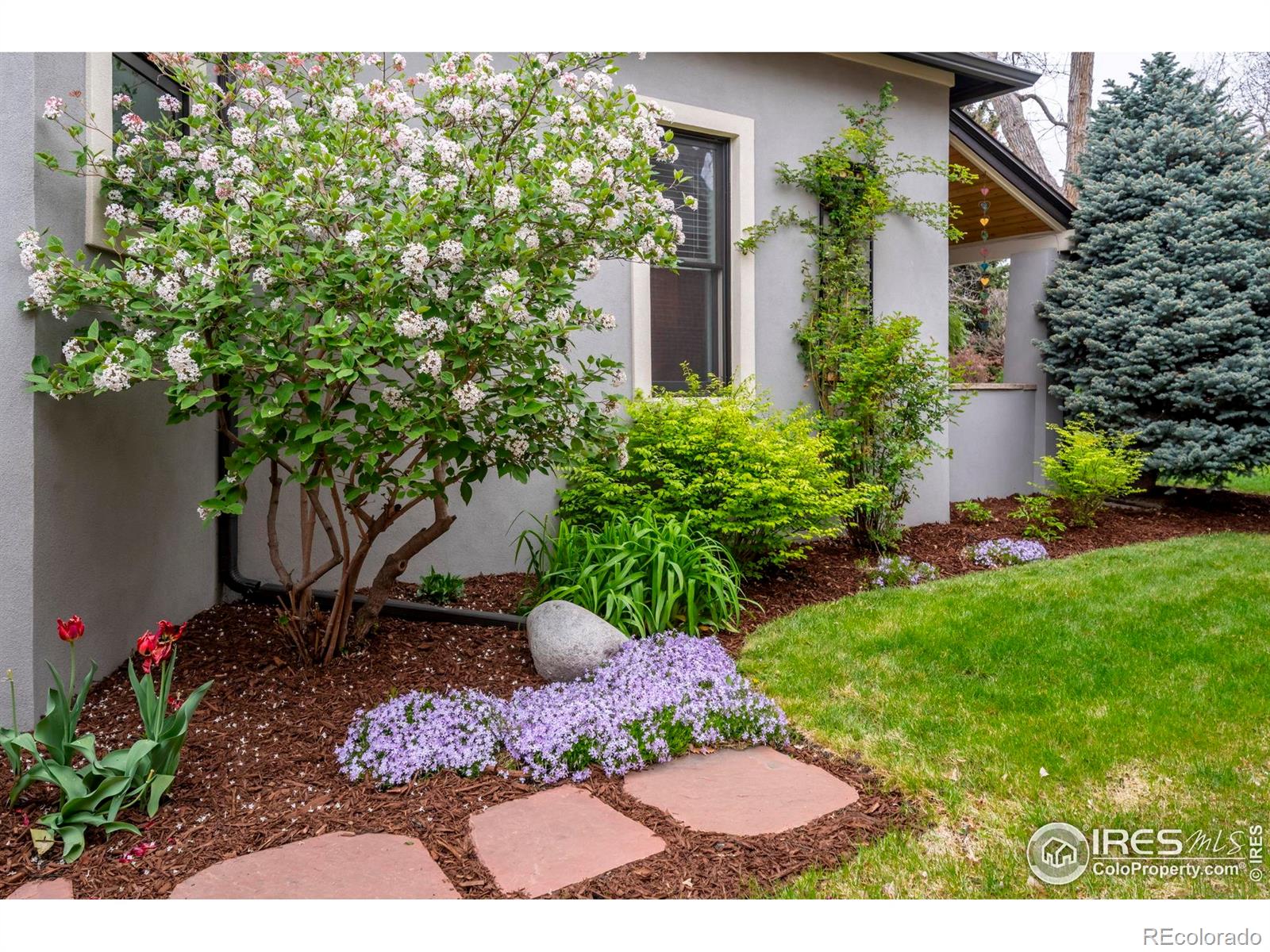 MLS Image #5 for 2019 s grant street,denver, Colorado