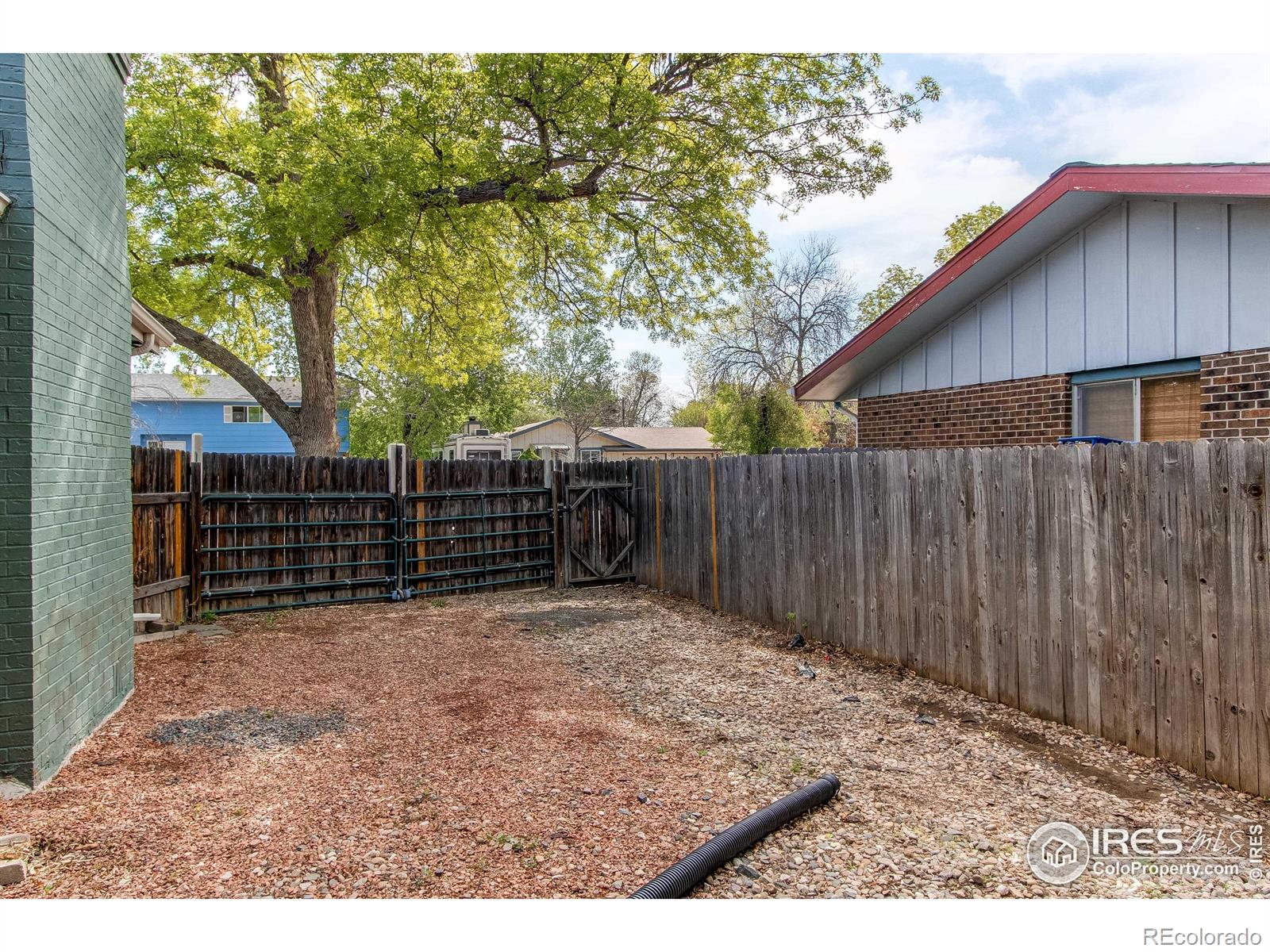 MLS Image #34 for 3115  custer avenue,loveland, Colorado