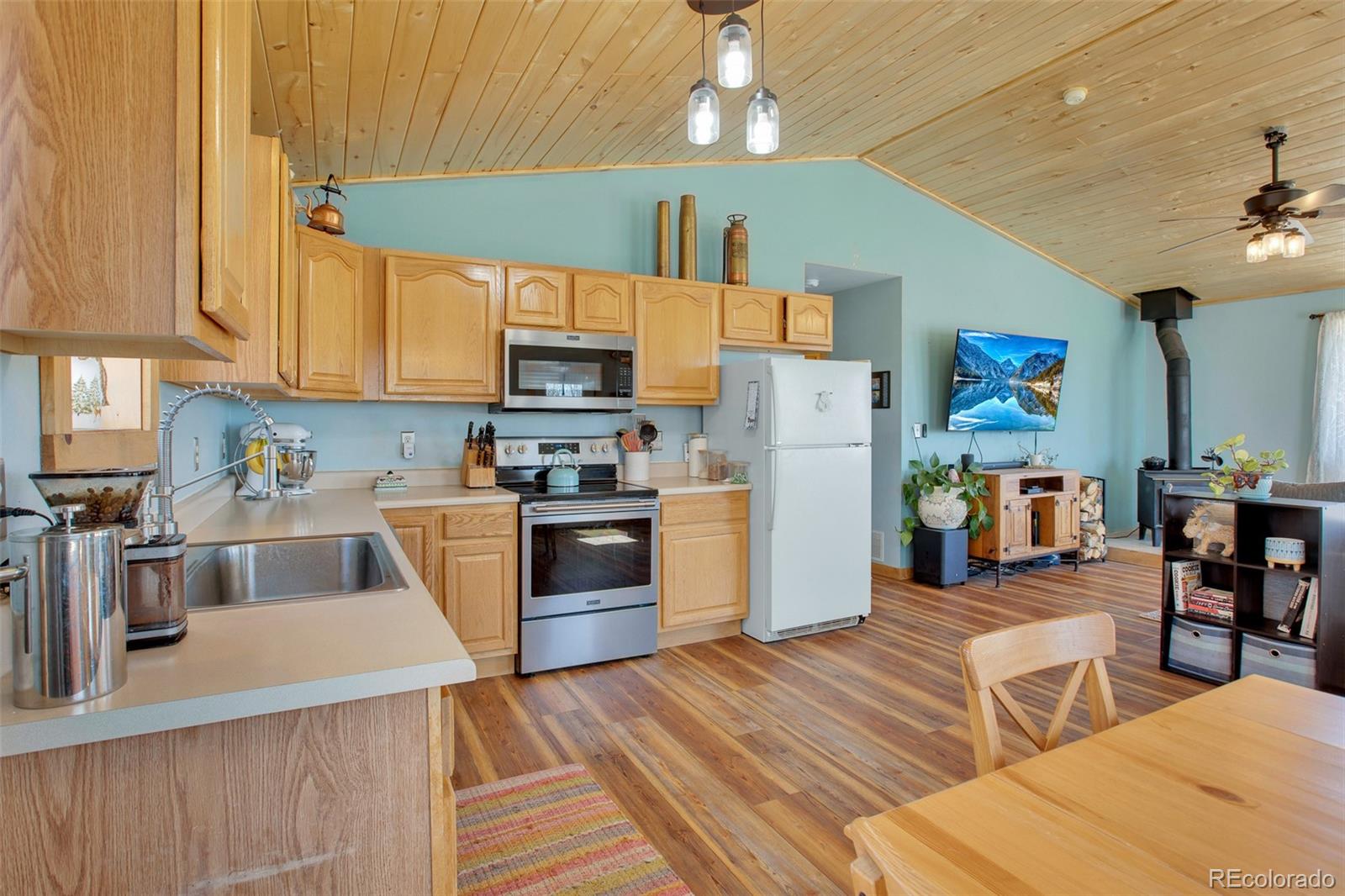 MLS Image #1 for 3028  high creek road,fairplay, Colorado