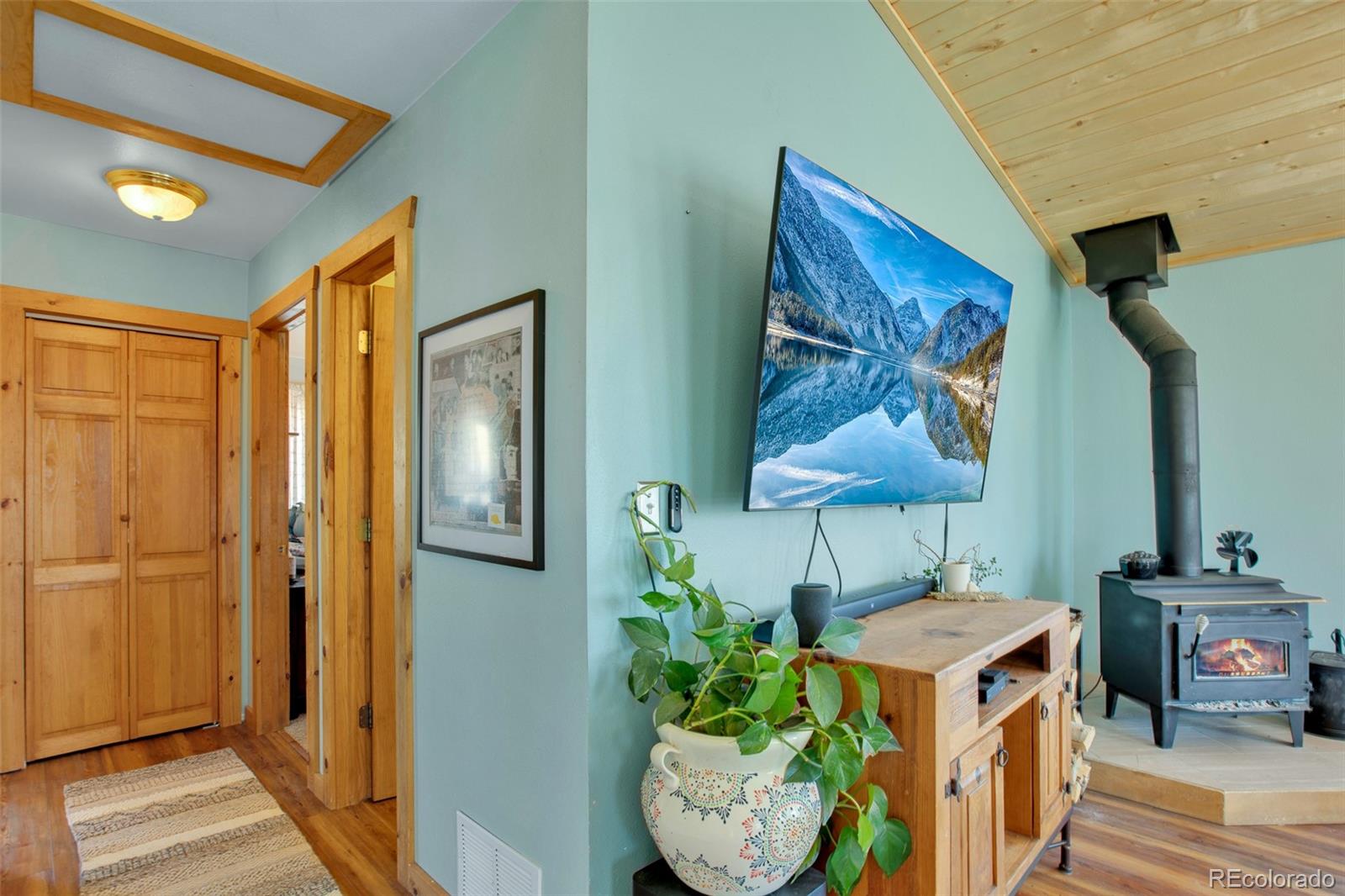 MLS Image #10 for 3028  high creek road,fairplay, Colorado