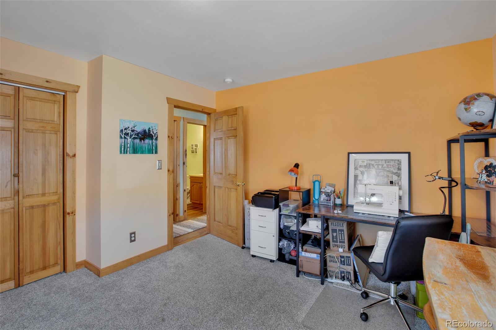 MLS Image #12 for 3028  high creek road,fairplay, Colorado