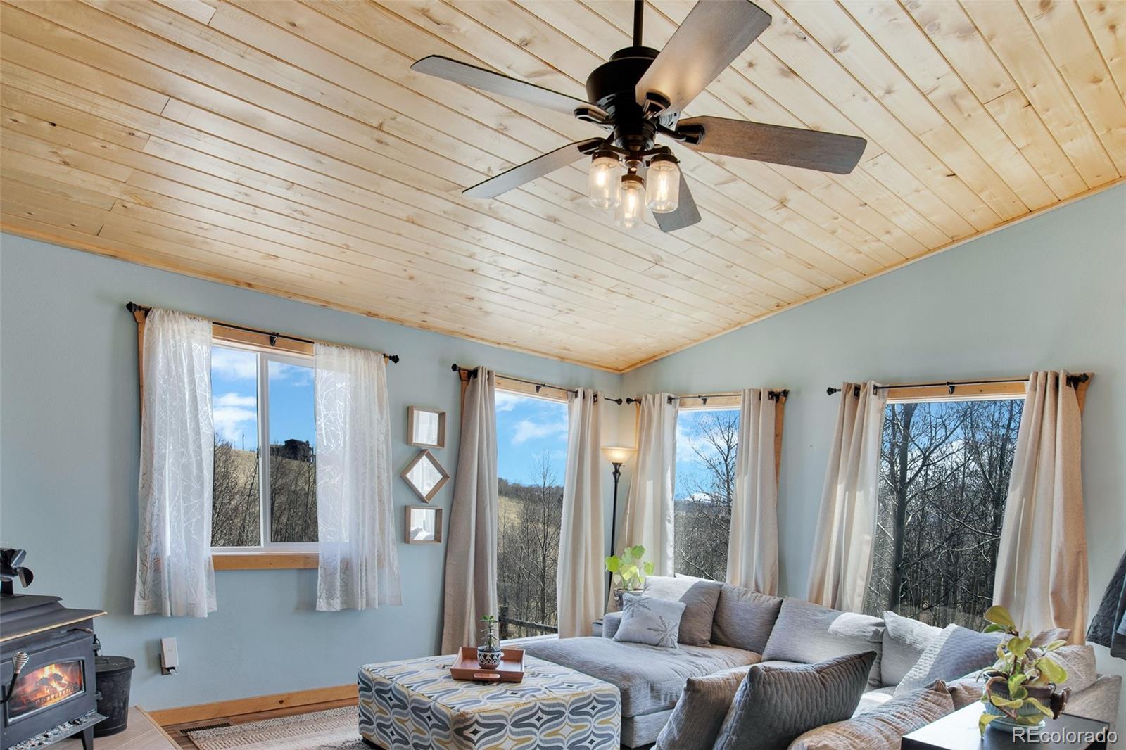 MLS Image #21 for 3028  high creek road,fairplay, Colorado
