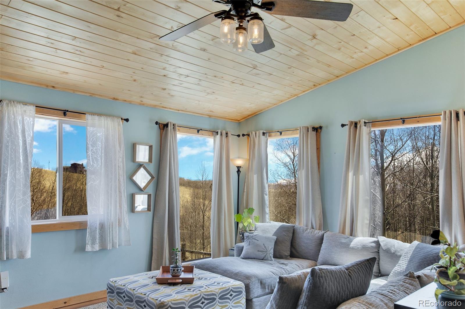 MLS Image #22 for 3028  high creek road,fairplay, Colorado