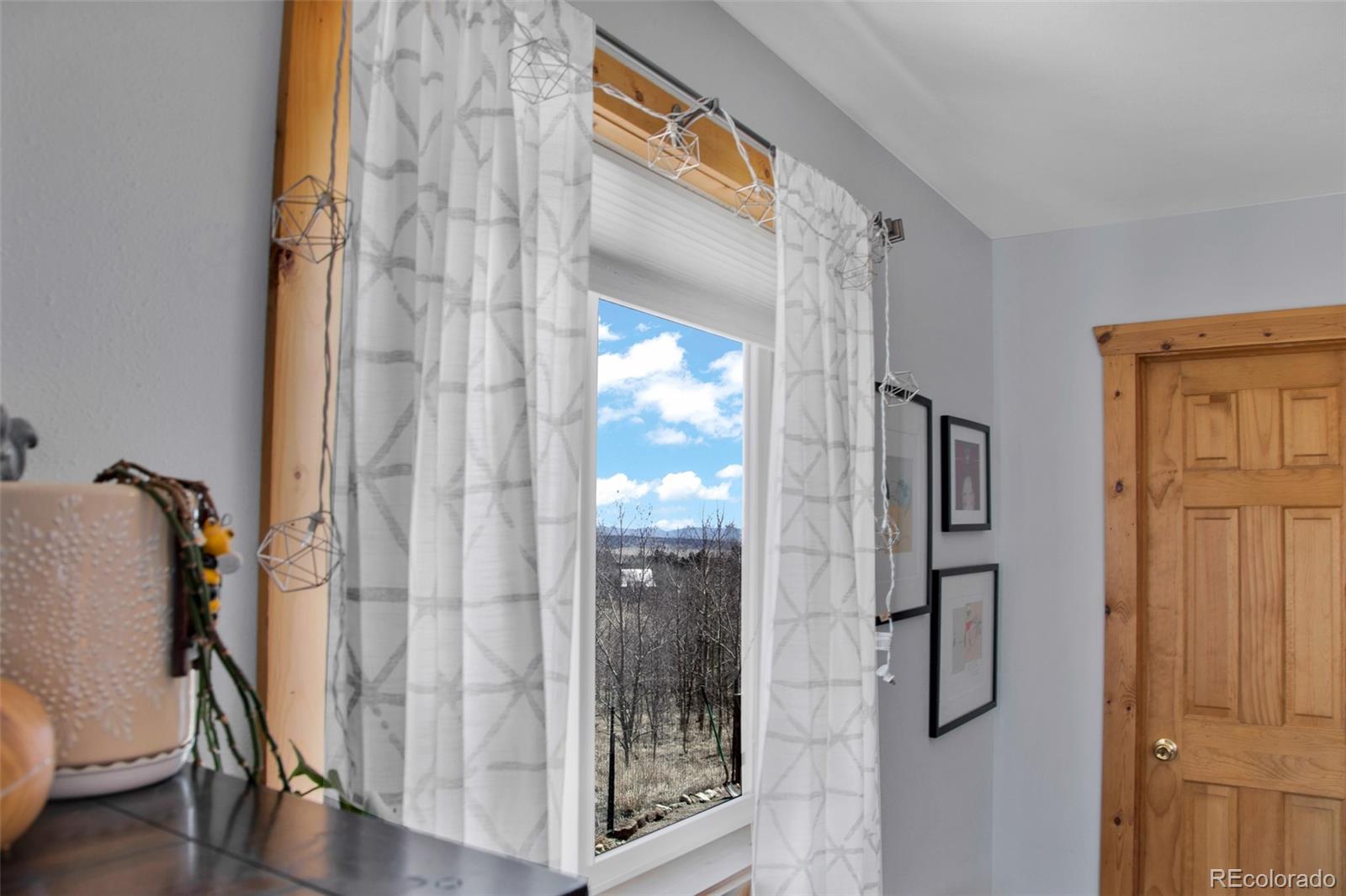 MLS Image #5 for 3028  high creek road,fairplay, Colorado