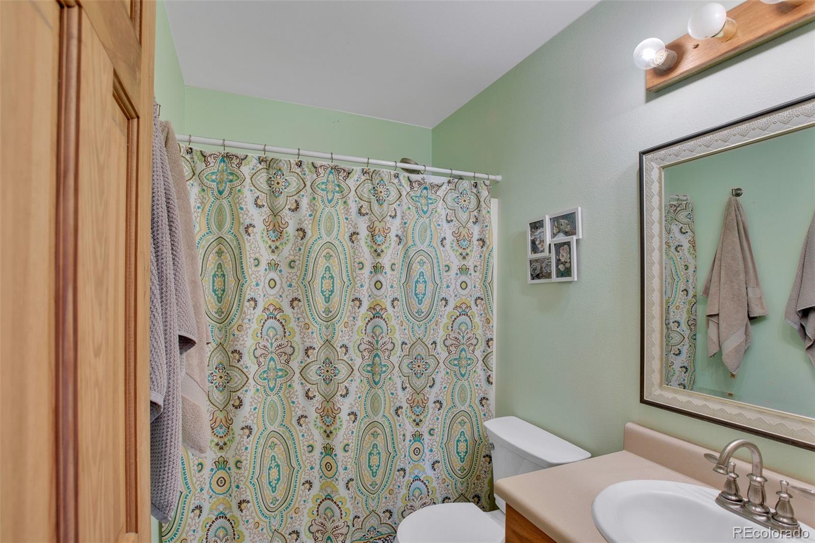MLS Image #9 for 3028  high creek road,fairplay, Colorado