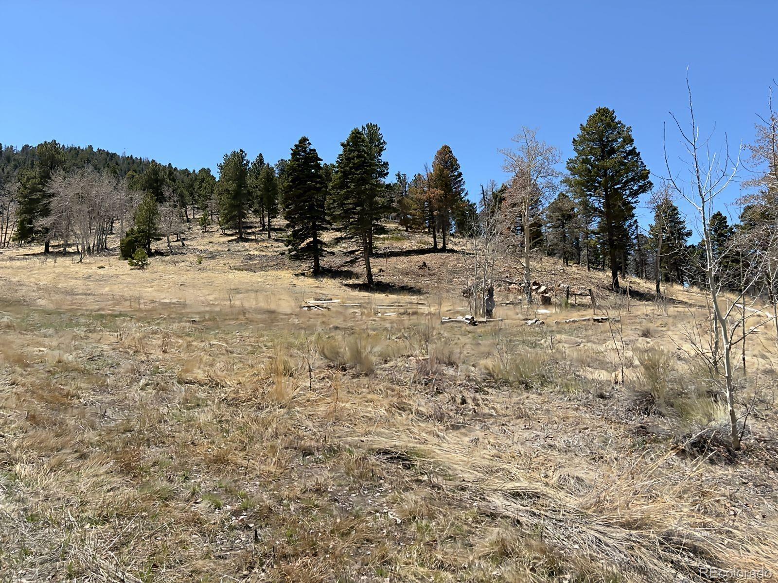 MLS Image #29 for 640  county road 356 ,westcliffe, Colorado