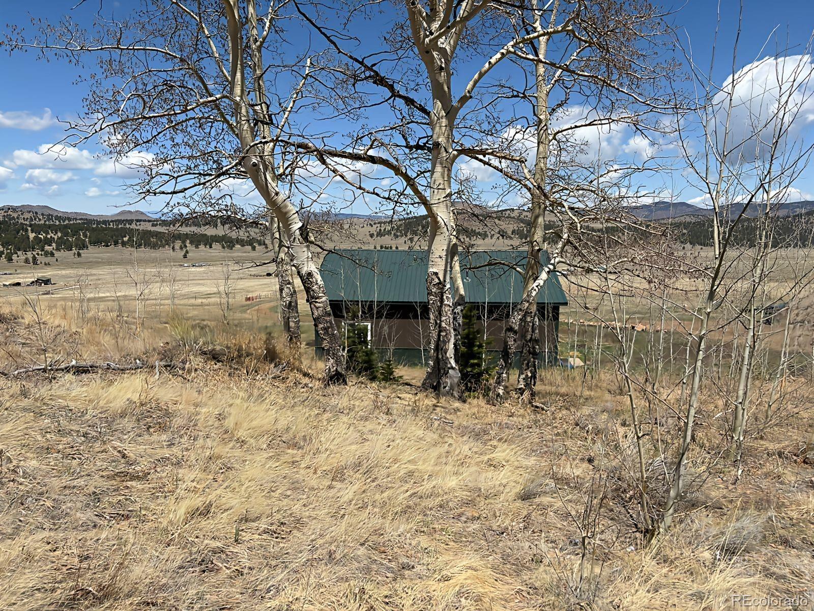 MLS Image #4 for 640  county road 356 ,westcliffe, Colorado