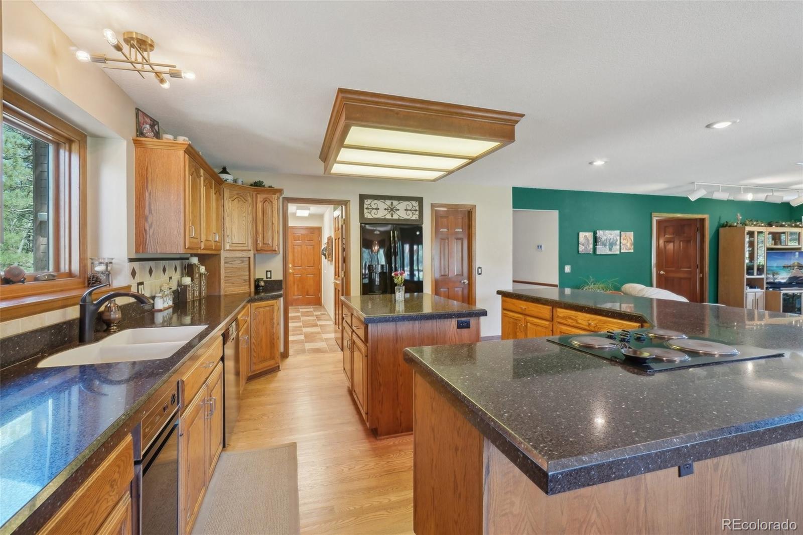 MLS Image #11 for 1332  meadow trail,franktown, Colorado