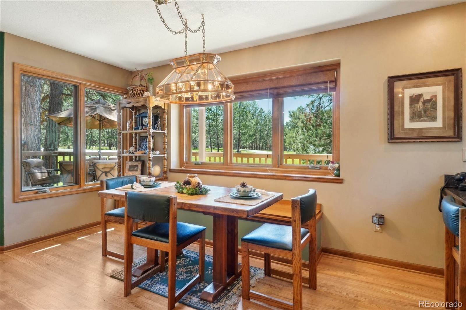 MLS Image #12 for 1332  meadow trail,franktown, Colorado