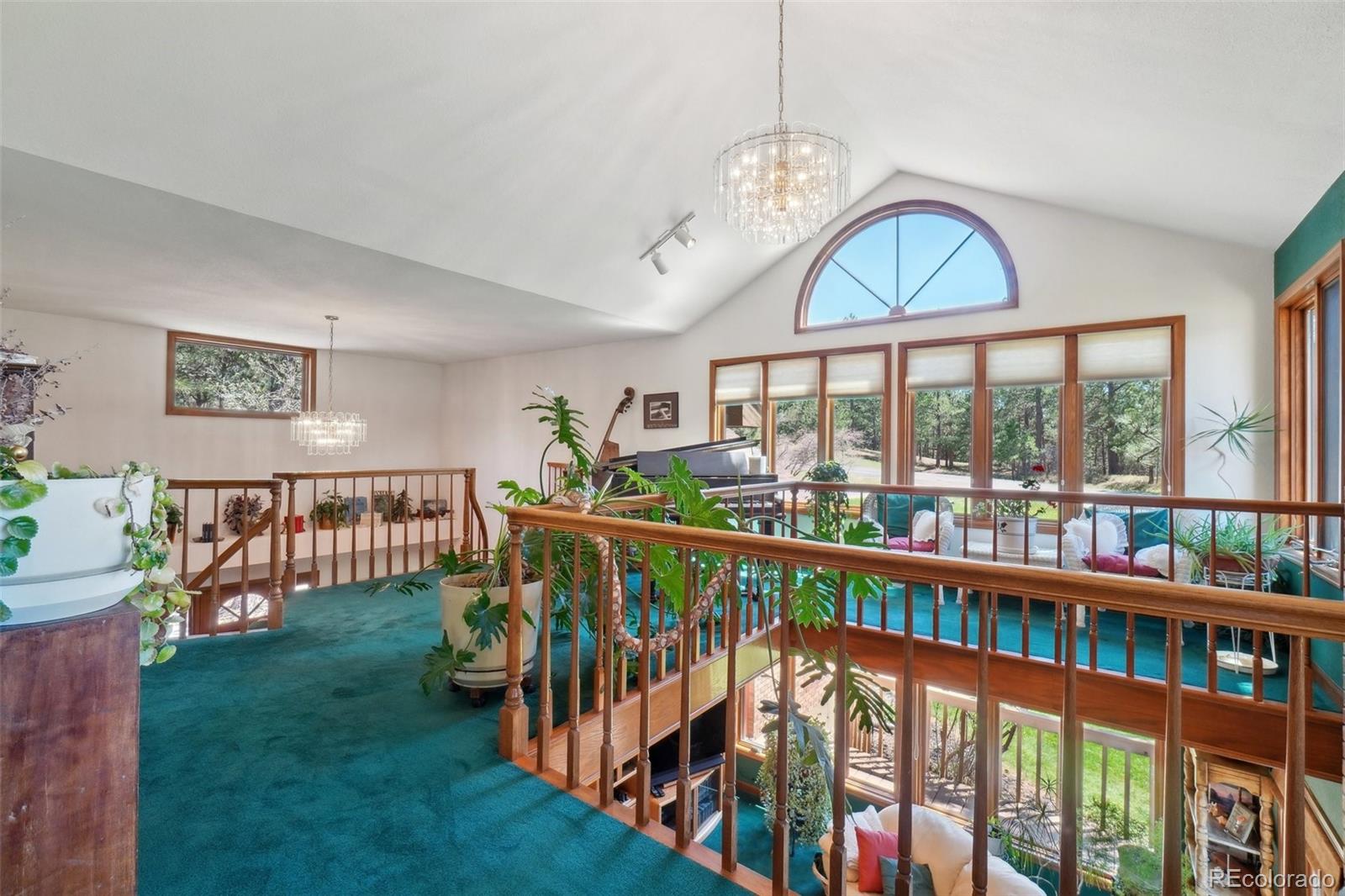 MLS Image #20 for 1332  meadow trail,franktown, Colorado