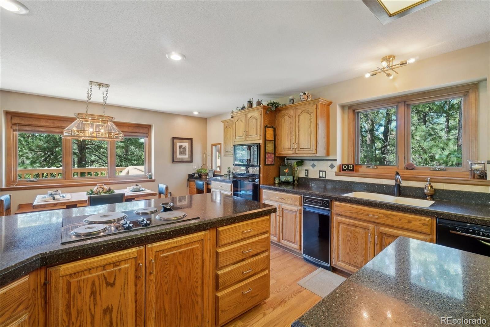 MLS Image #9 for 1332  meadow trail,franktown, Colorado