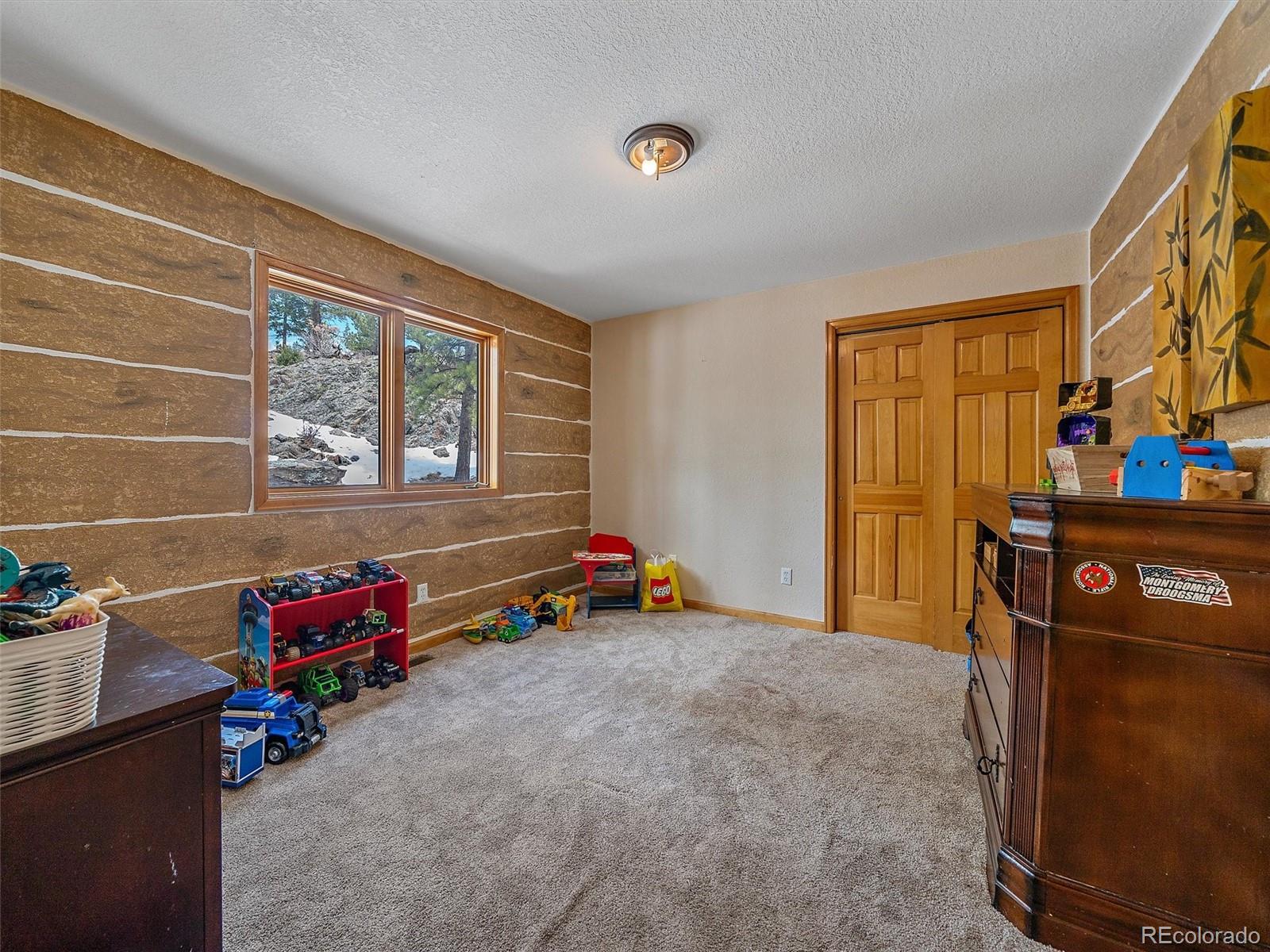 MLS Image #18 for 301  deer trail drive,bailey, Colorado