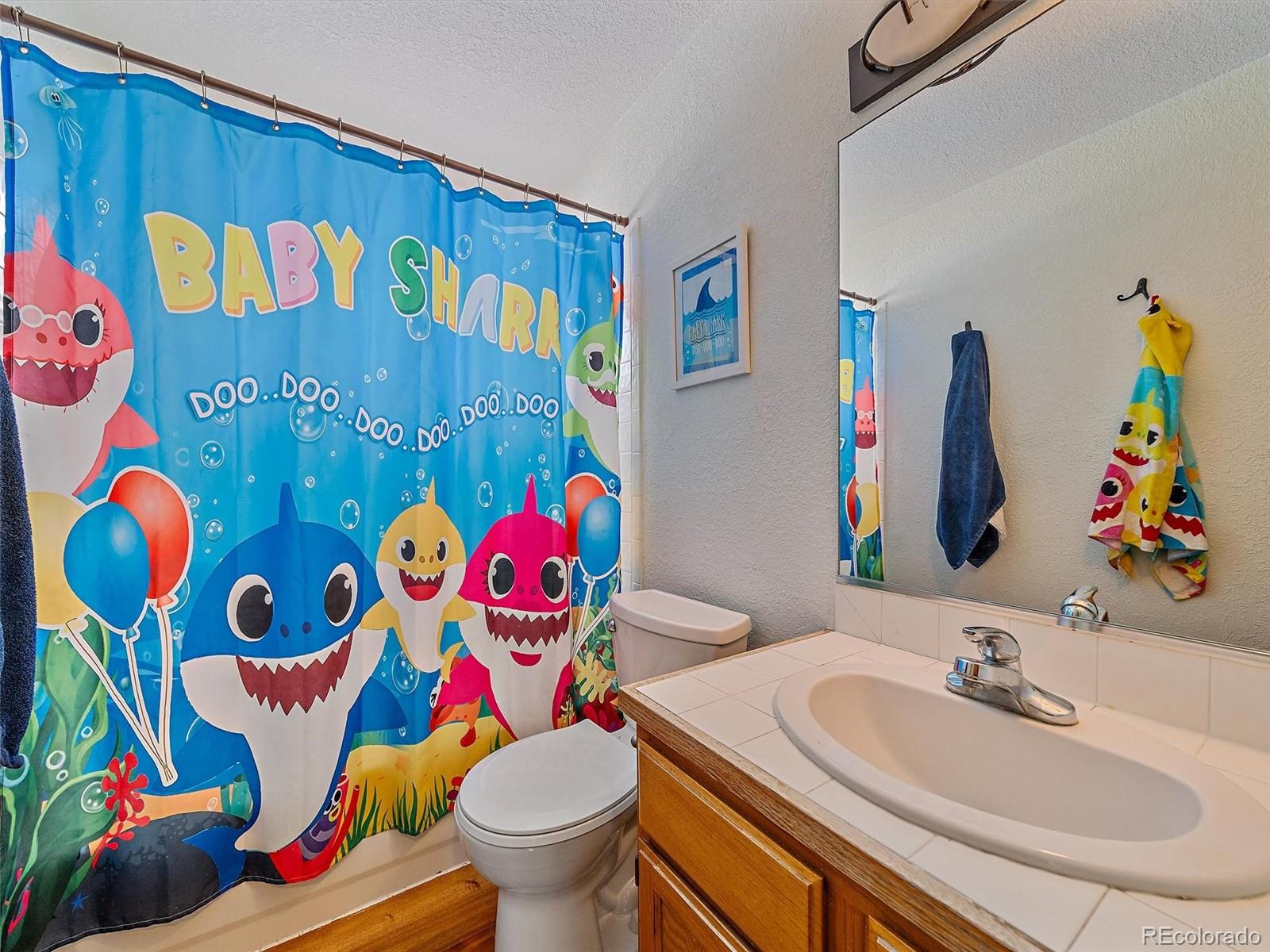 MLS Image #19 for 301  deer trail drive,bailey, Colorado