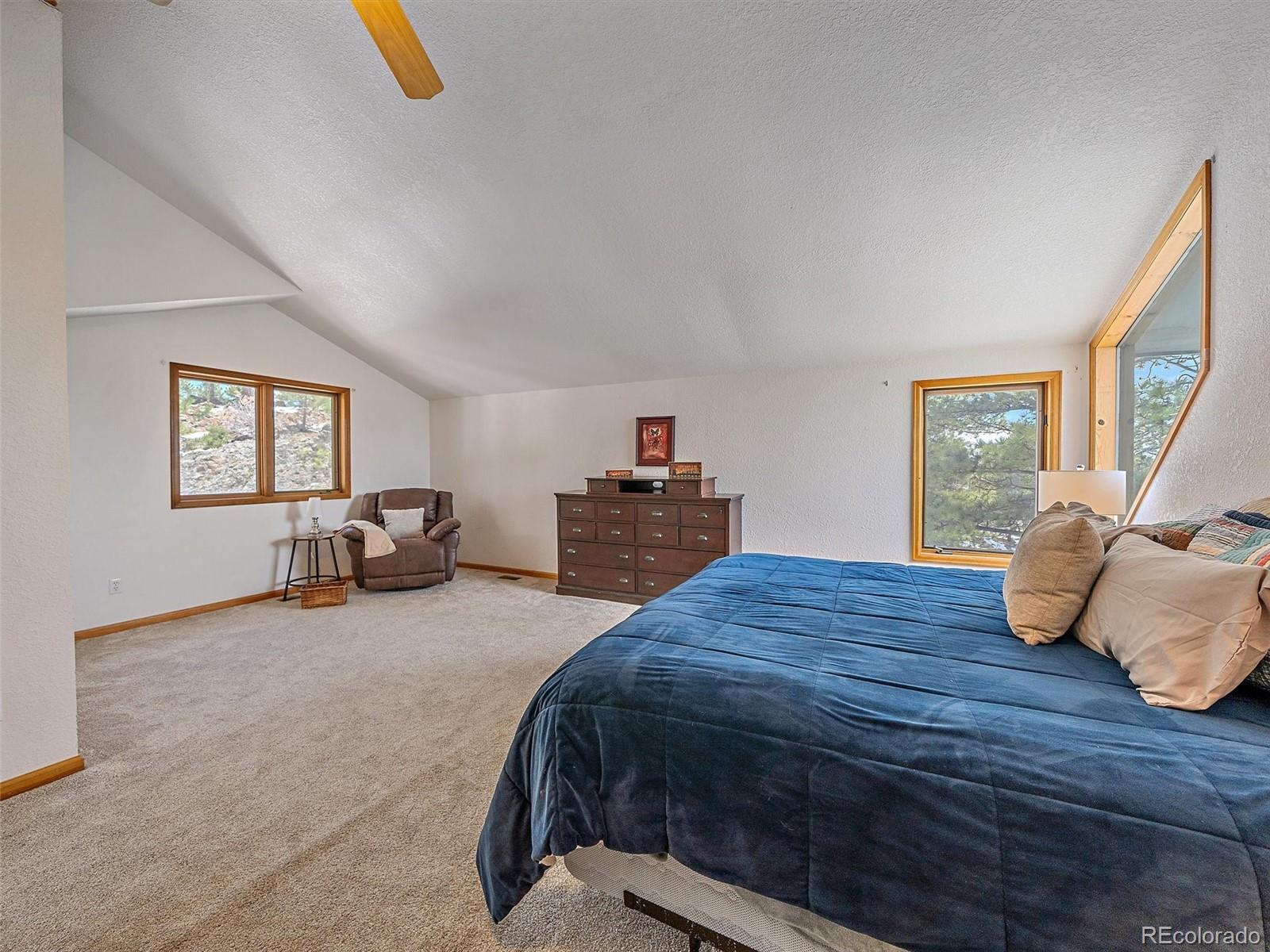 MLS Image #22 for 301  deer trail drive,bailey, Colorado